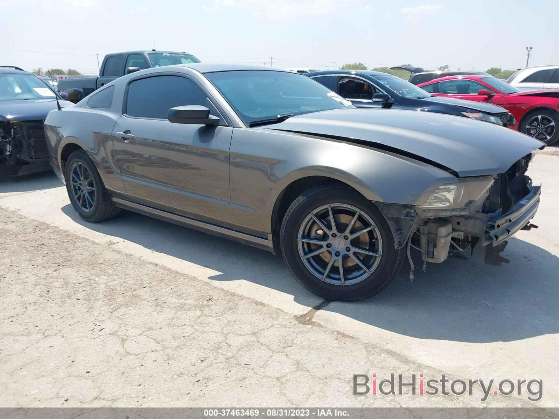 Photo 1ZVBP8AM0E5249958 - FORD MUSTANG 2014