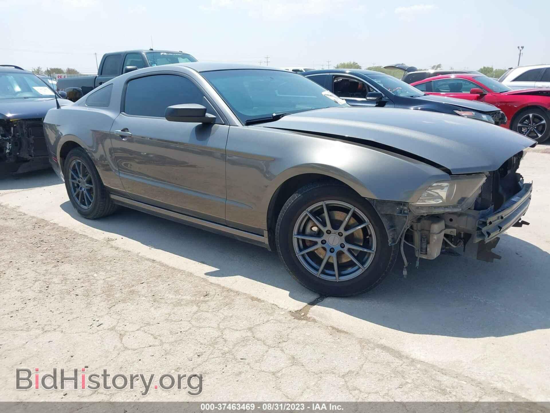 Фотография 1ZVBP8AM0E5249958 - FORD MUSTANG 2014