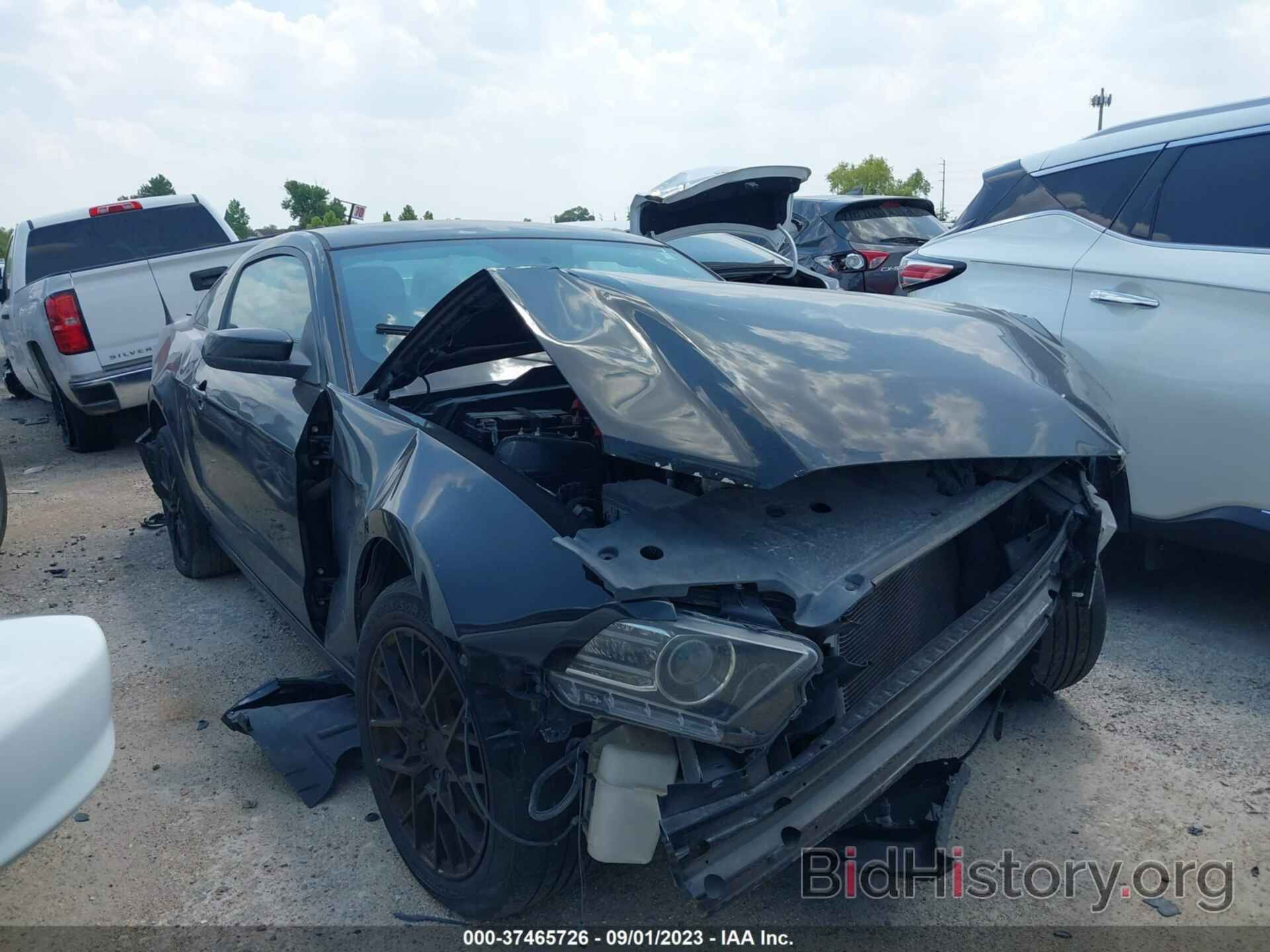 Photo 1ZVBP8AM7E5264814 - FORD MUSTANG 2014