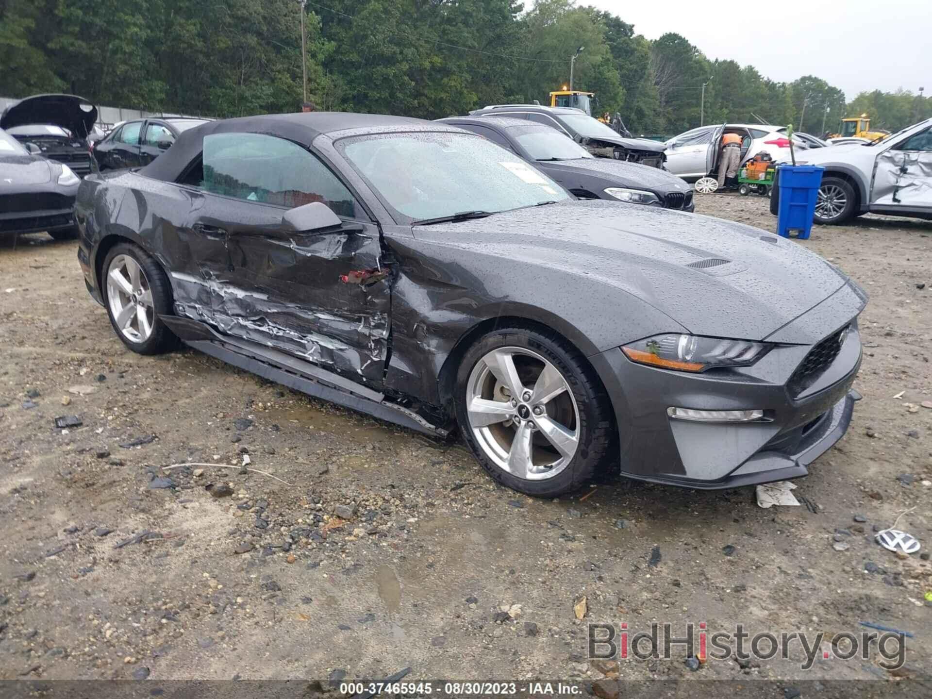 Photo 1FATP8UH3K5110236 - FORD MUSTANG 2019