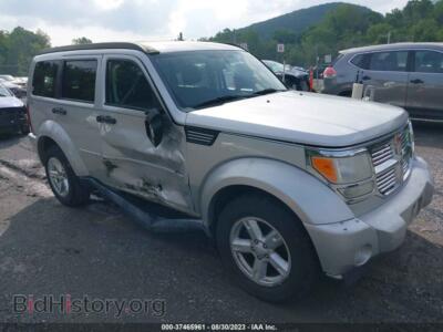 2010 Dodge NITRO SE, серебристый — VIN 1D4PU2GK3AW170697, IAAI
