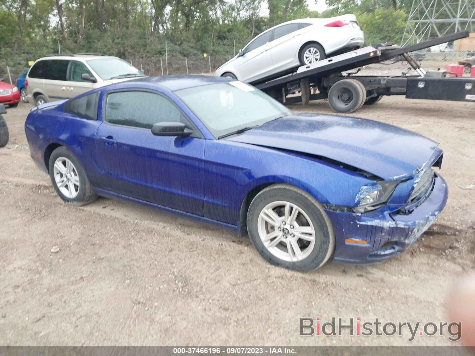 Photo 1ZVBP8AMXD5262408 - FORD MUSTANG 2013