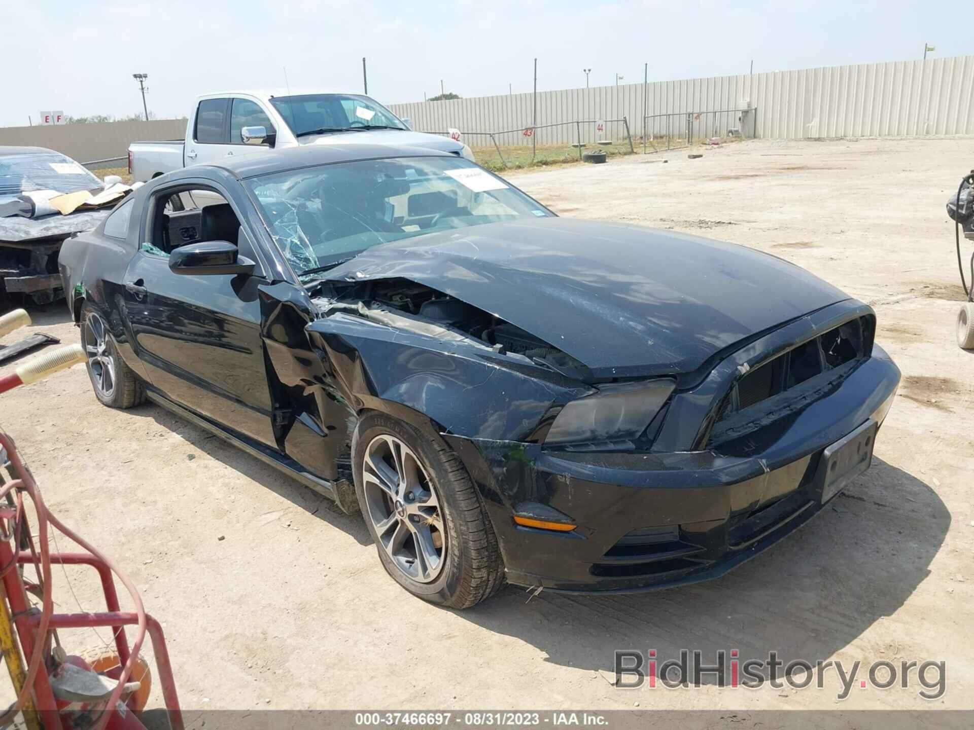 Photo 1ZVBP8AM2E5292262 - FORD MUSTANG 2014