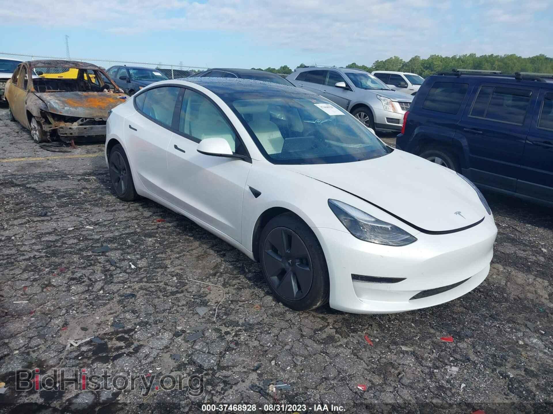 Photo 5YJ3E1EA5MF018572 - TESLA MODEL 3 2021
