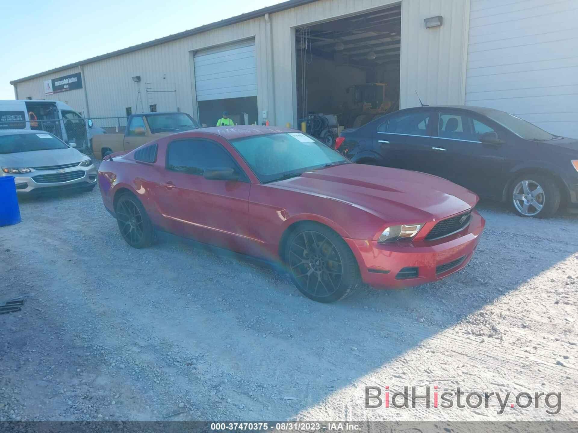 Photo 1ZVBP8AM2C5234004 - FORD MUSTANG 2012