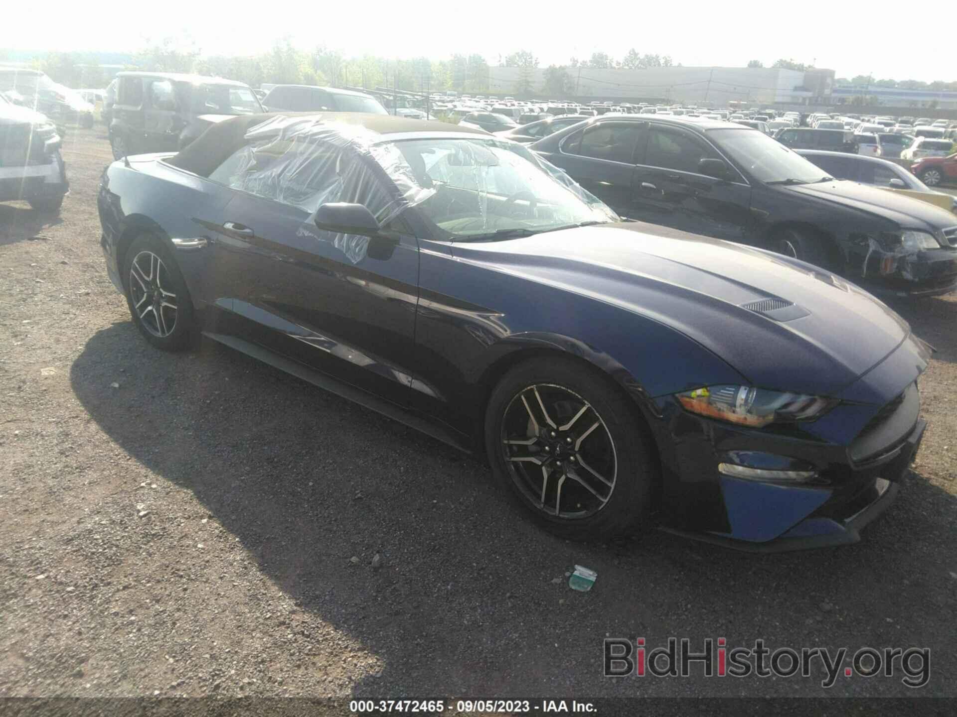 Photo 1FATP8UH2K5204625 - FORD MUSTANG 2019