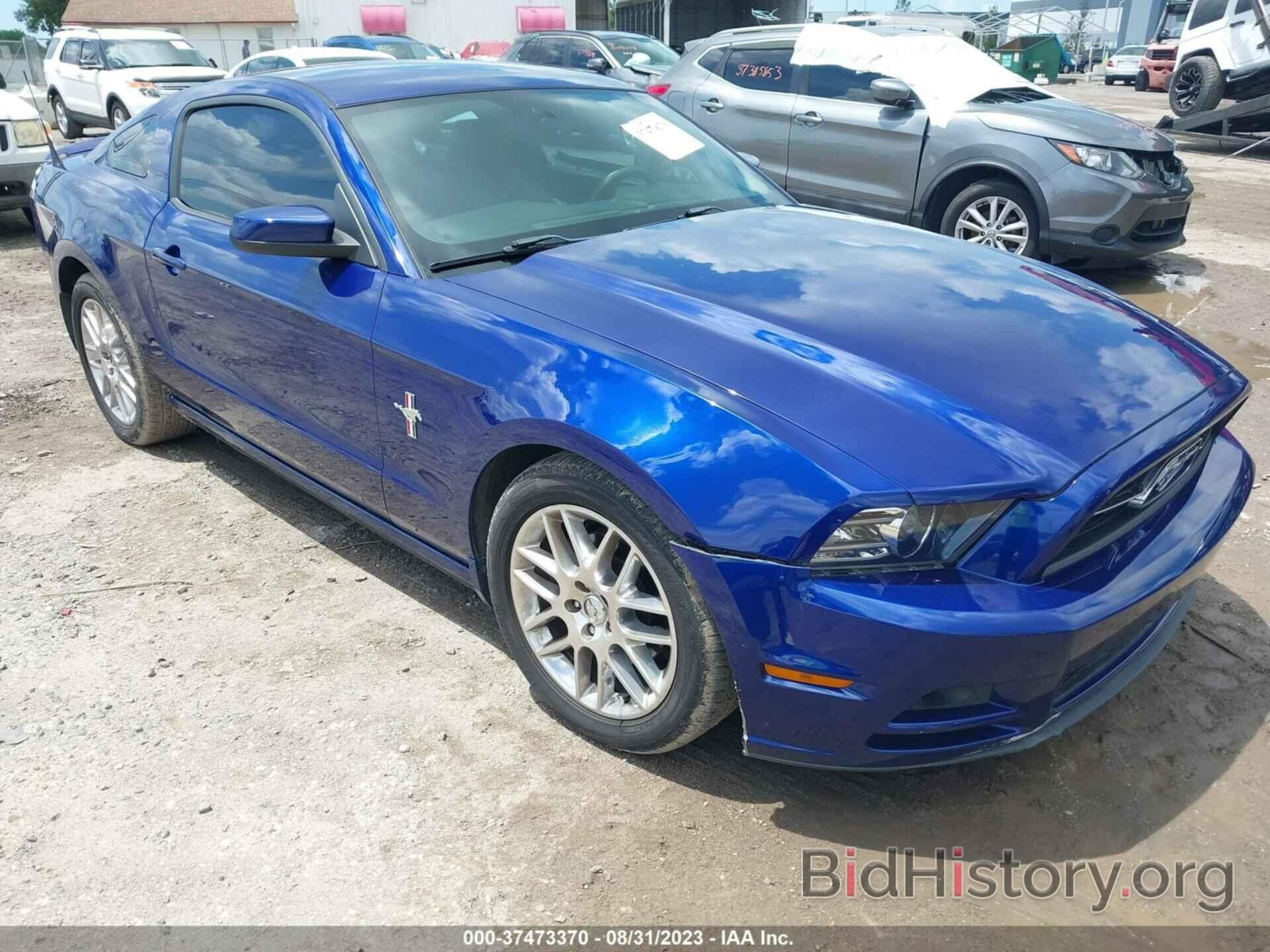 Photo 1ZVBP8AM5D5265698 - FORD MUSTANG 2013