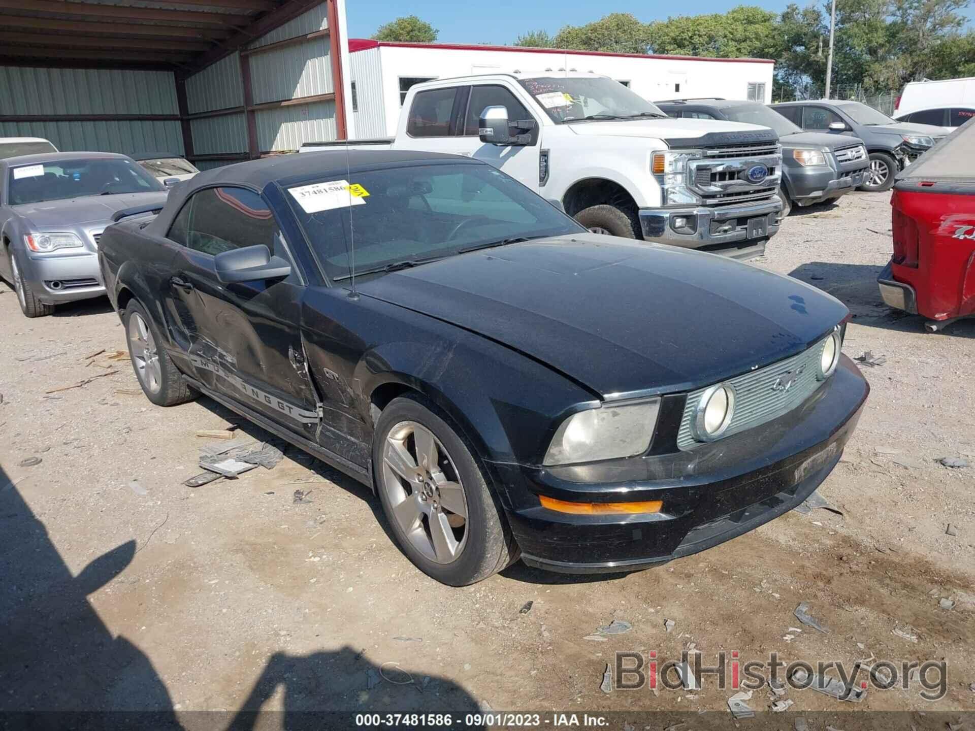 Photo 1ZVHT85H665112950 - FORD MUSTANG 2006