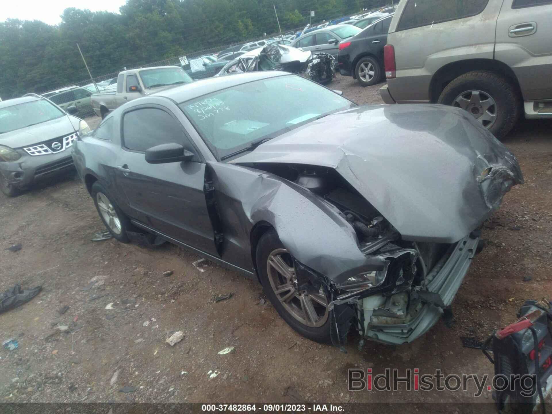 Photo 1ZVBP8AM7E5282519 - FORD MUSTANG 2014