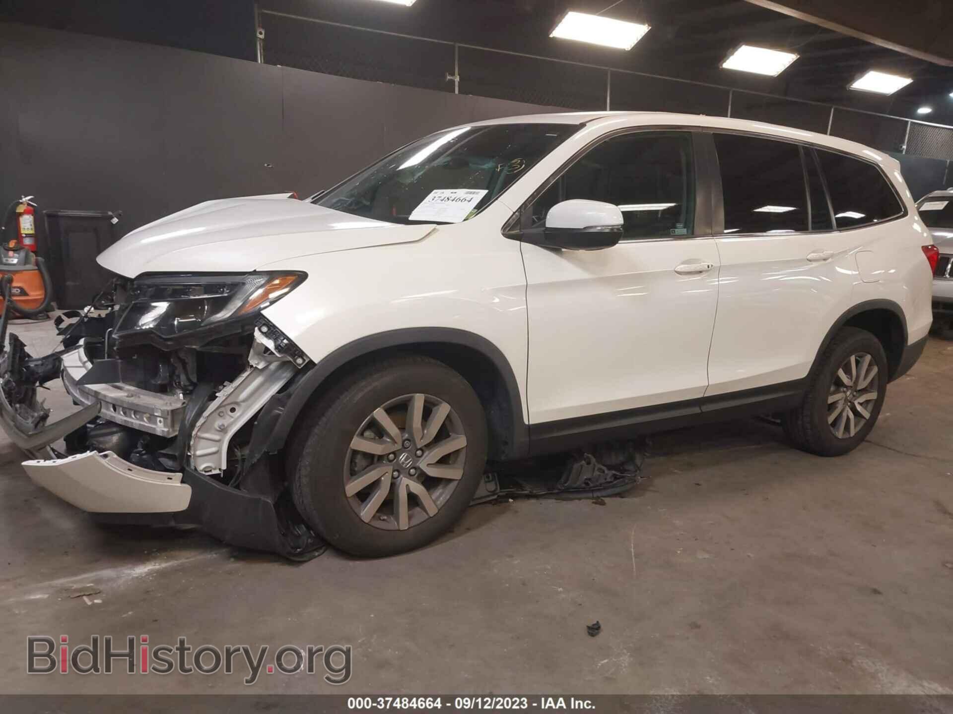 2019 HONDA PILOT - VIN: 5FNYF6H44KB032059 - Фото 2