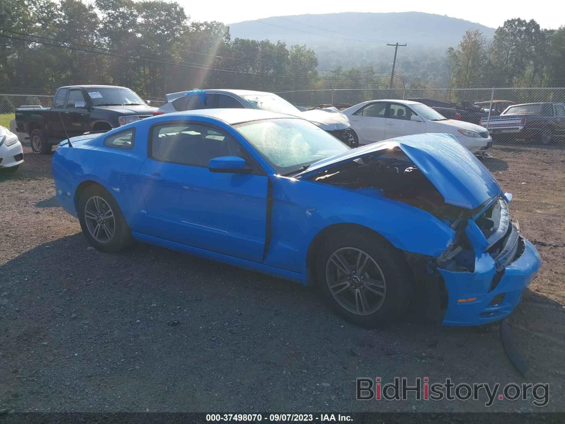Photo 1ZVBP8AM4D5208666 - FORD MUSTANG 2013