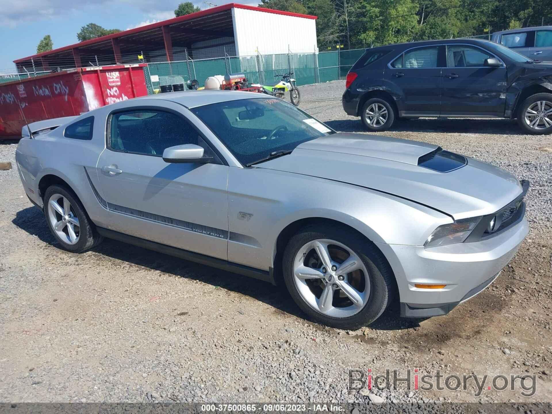 Photo 1ZVBP8CH7A5163590 - FORD MUSTANG 2010