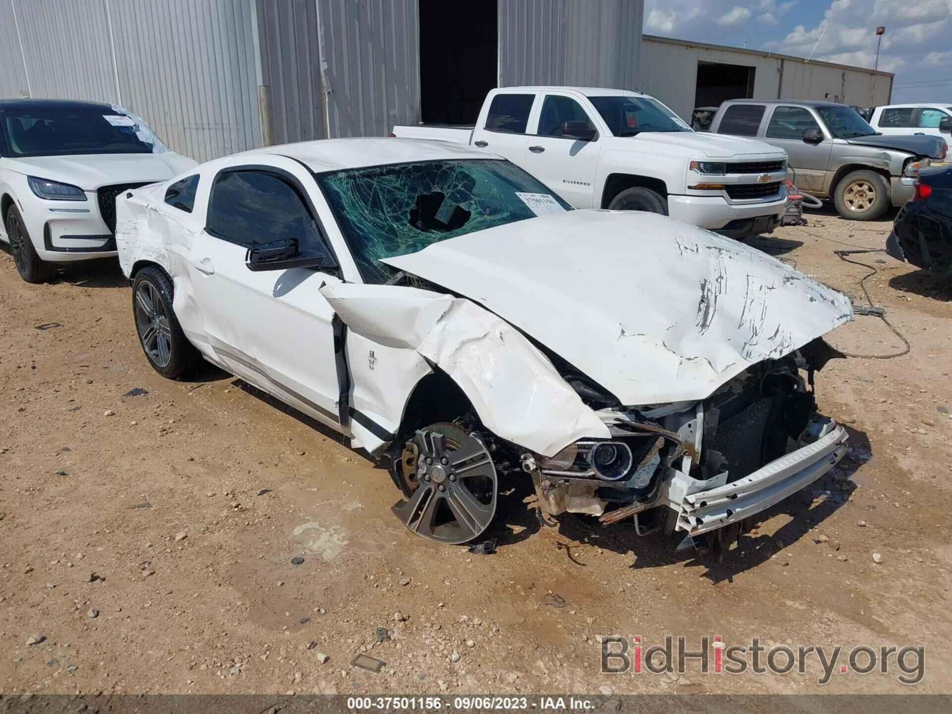 Photo 1ZVBP8AM0D5259369 - FORD MUSTANG 2013