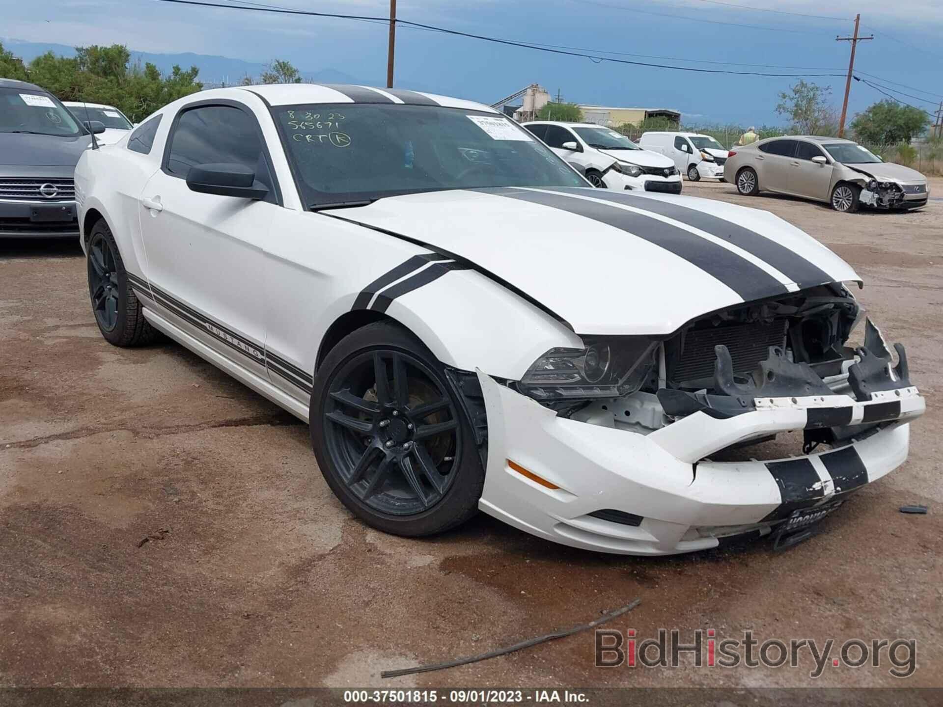 Photo 1ZVBP8AM6D5232032 - FORD MUSTANG 2013