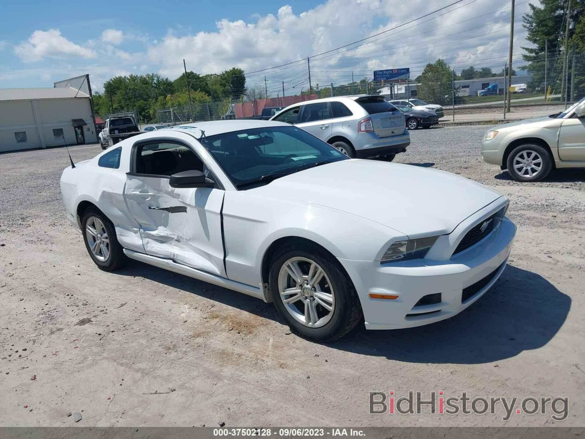 Photo 1ZVBP8AM8E5333574 - FORD MUSTANG 2014