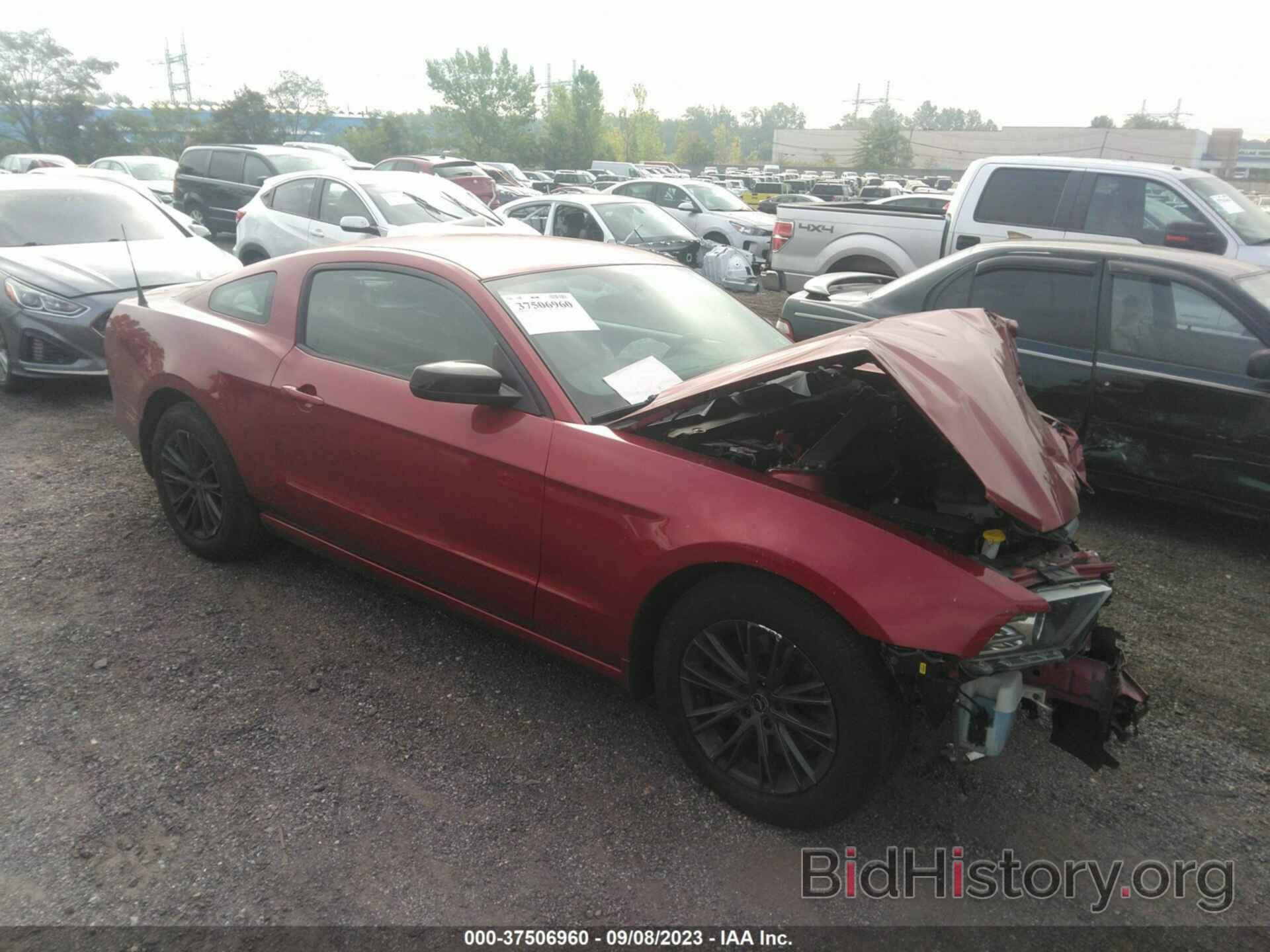 Photo 1ZVBP8AM5E5237014 - FORD MUSTANG 2014