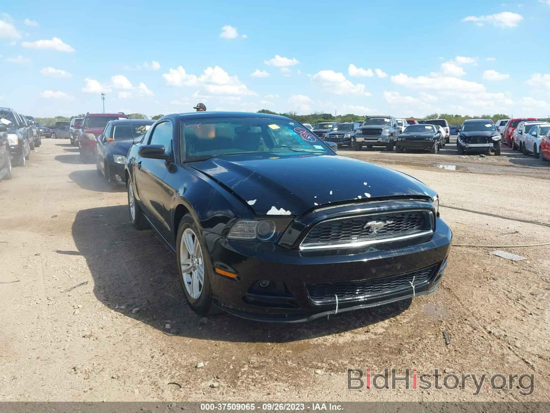 Photo 1ZVBP8AM1D5278724 - FORD MUSTANG 2013