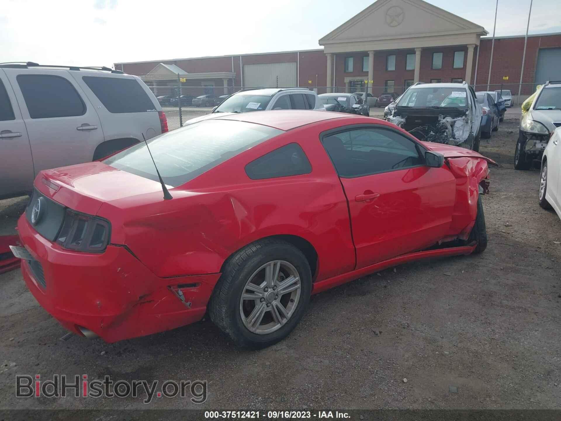2013 FORD MUSTANG - VIN: 1ZVBP8AM4D5249444 - Фото 4