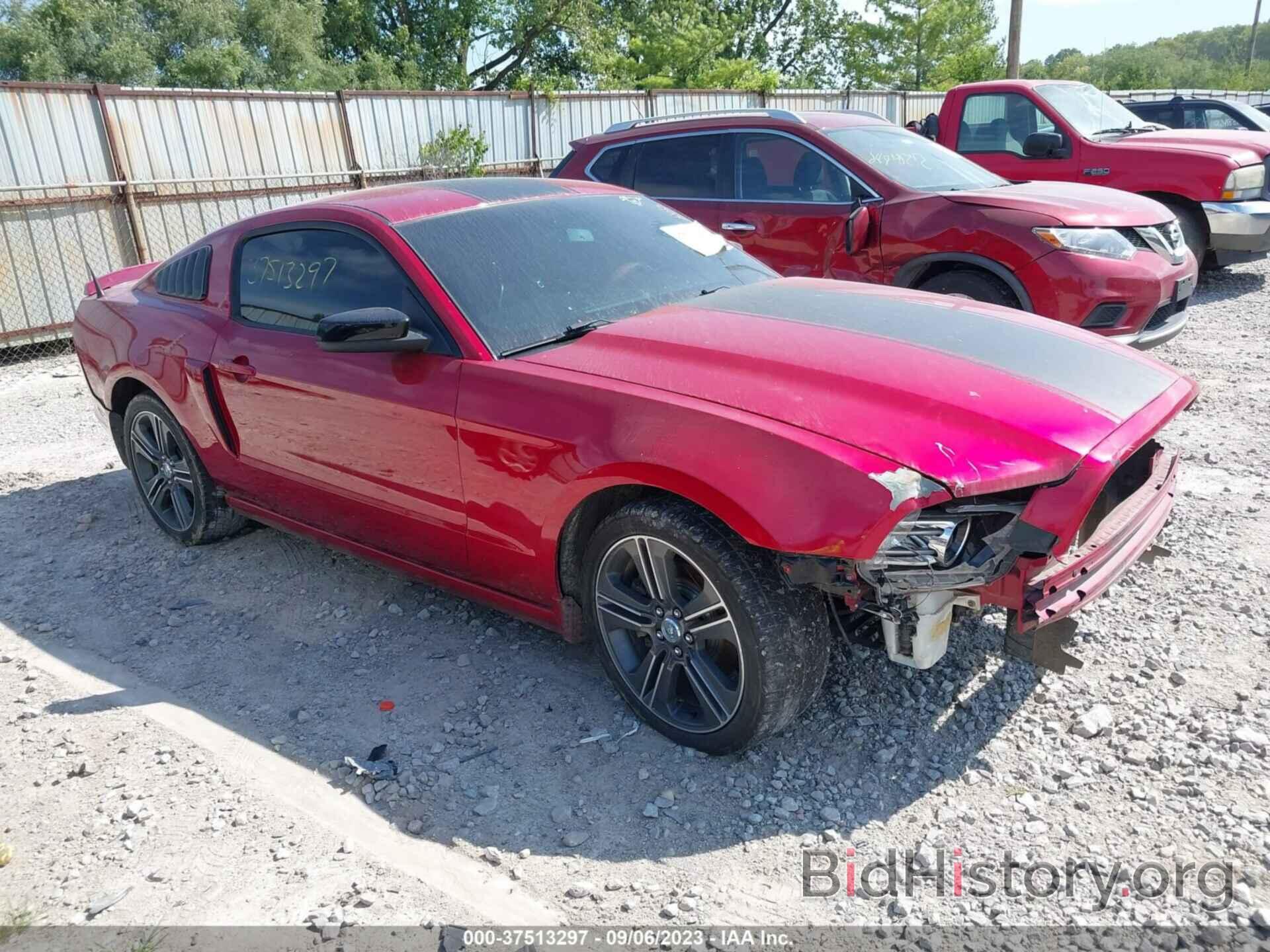 Photo 1ZVBP8AMXD5246189 - FORD MUSTANG 2013