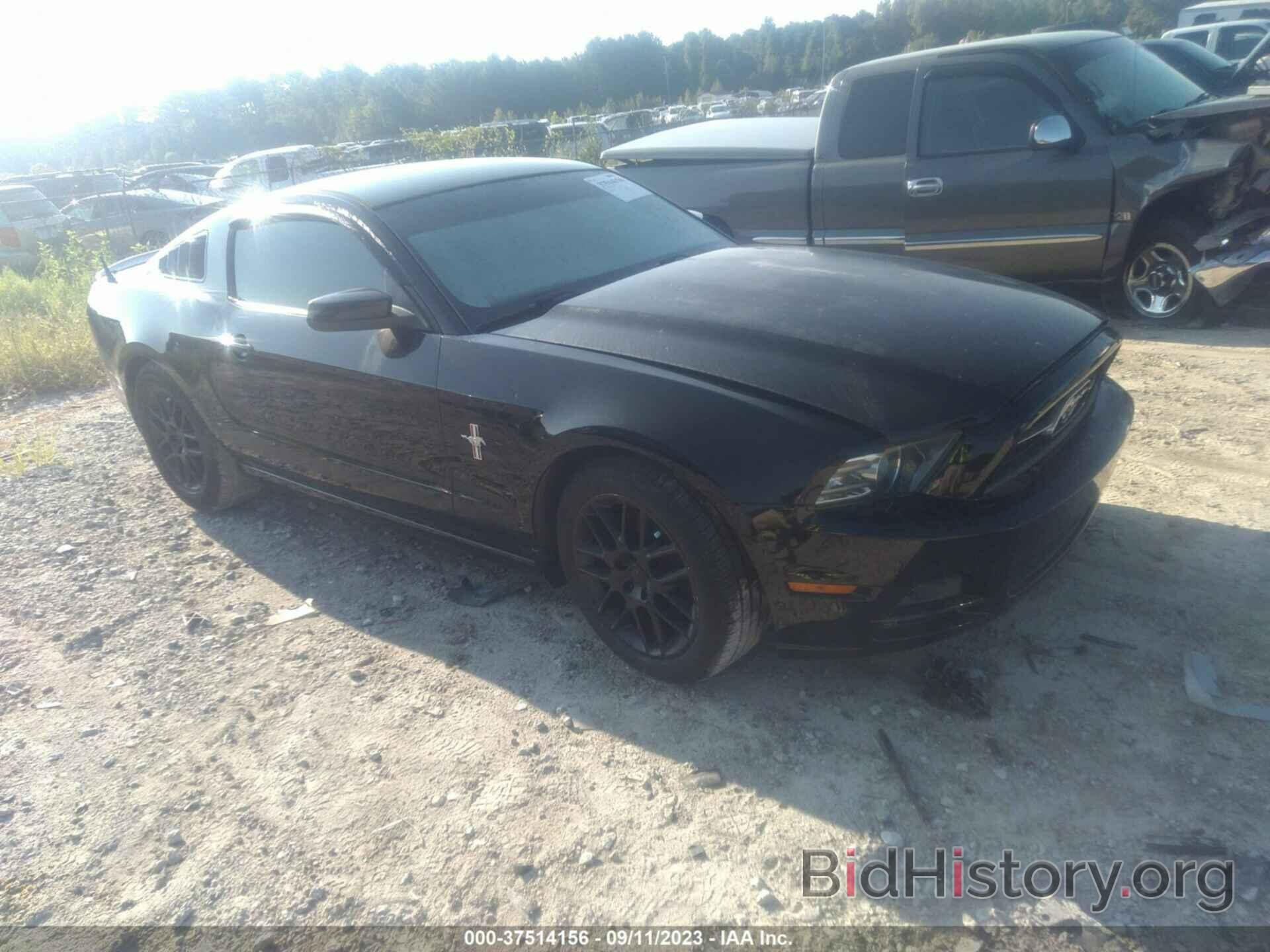 Photo 1ZVBP8AMXD5252154 - FORD MUSTANG 2013