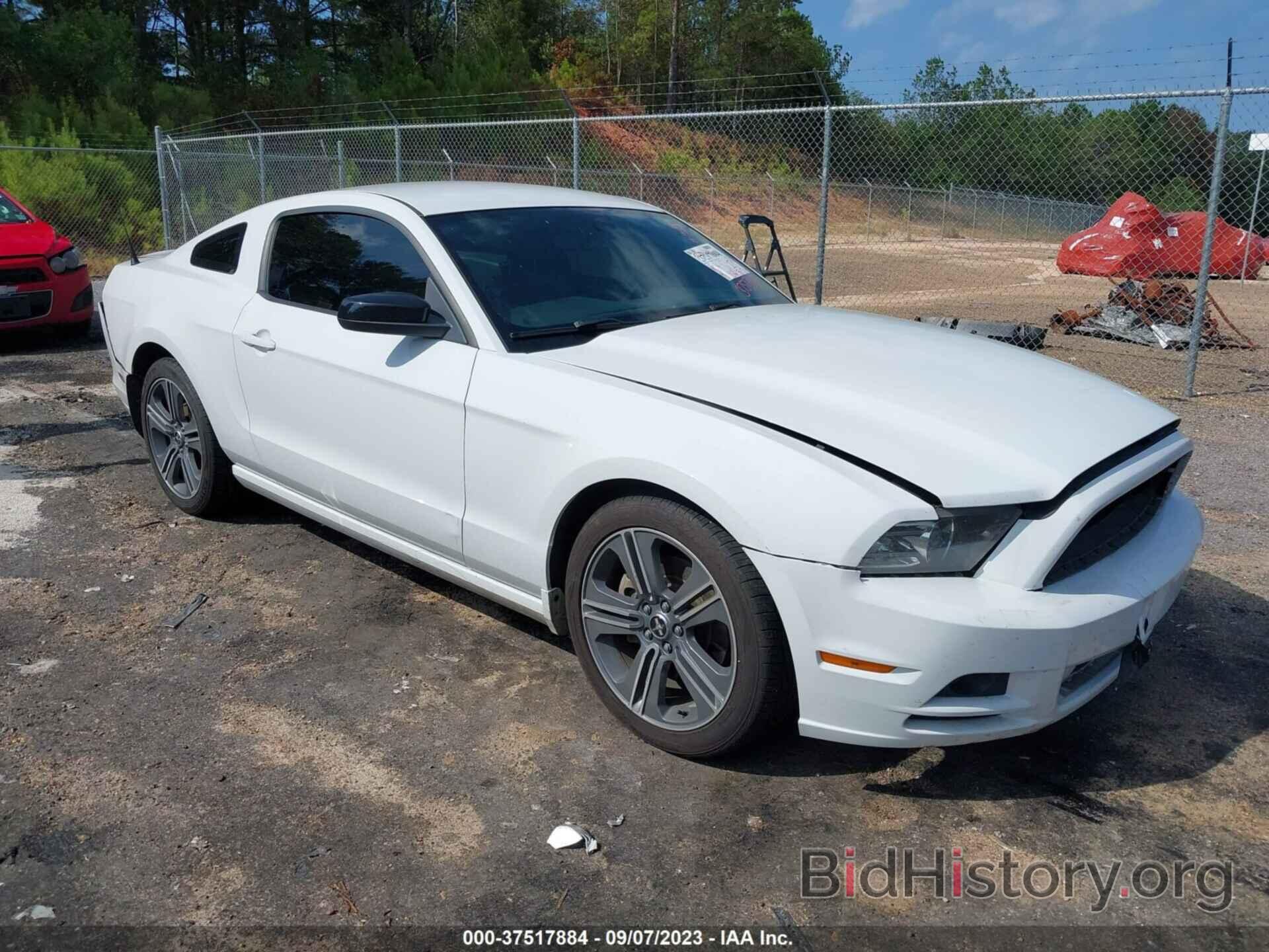 Photo 1ZVBP8AM2E5298045 - FORD MUSTANG 2014