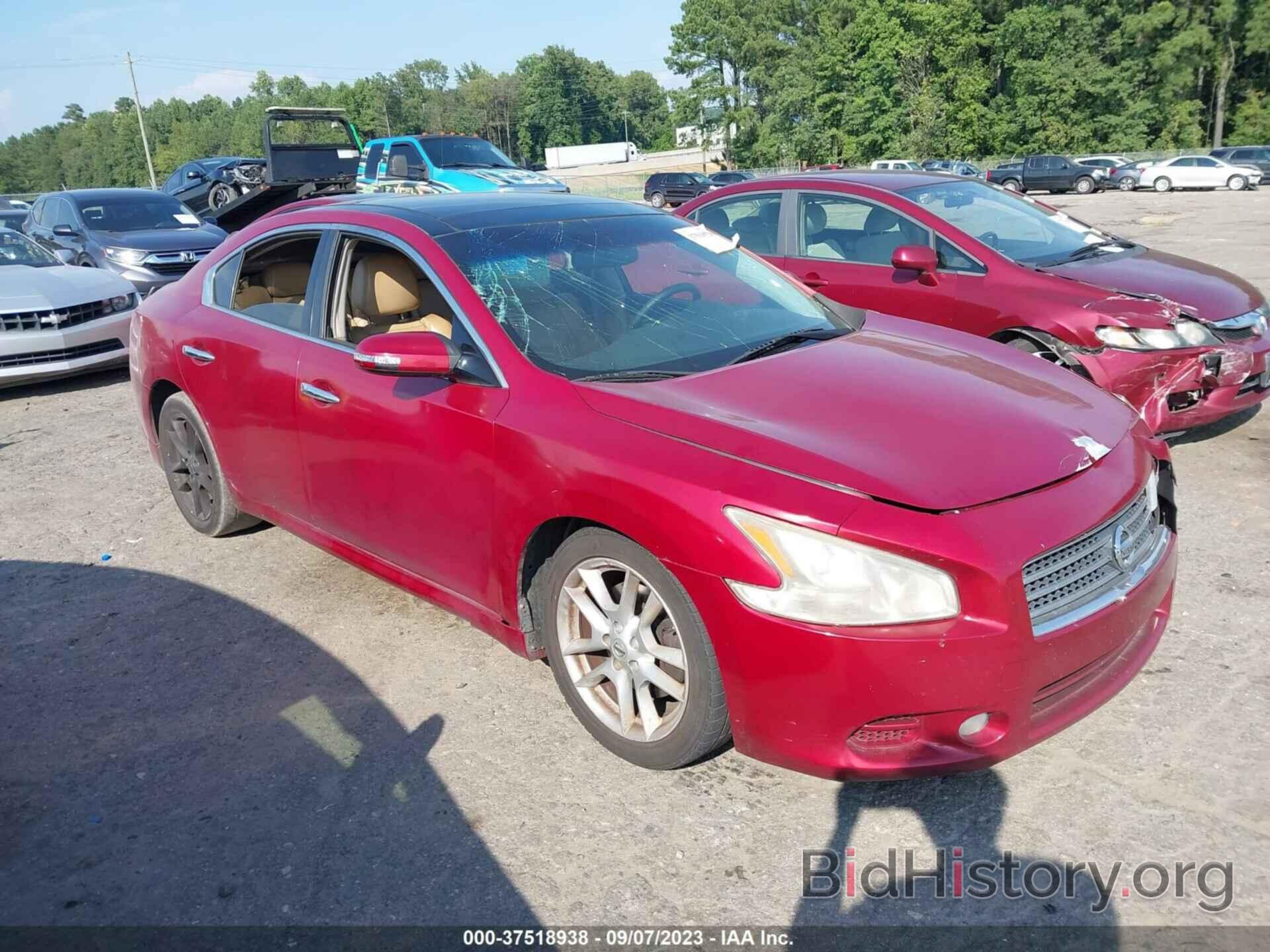 Photo 1N4AA5AP8AC831164 - NISSAN MAXIMA 2010