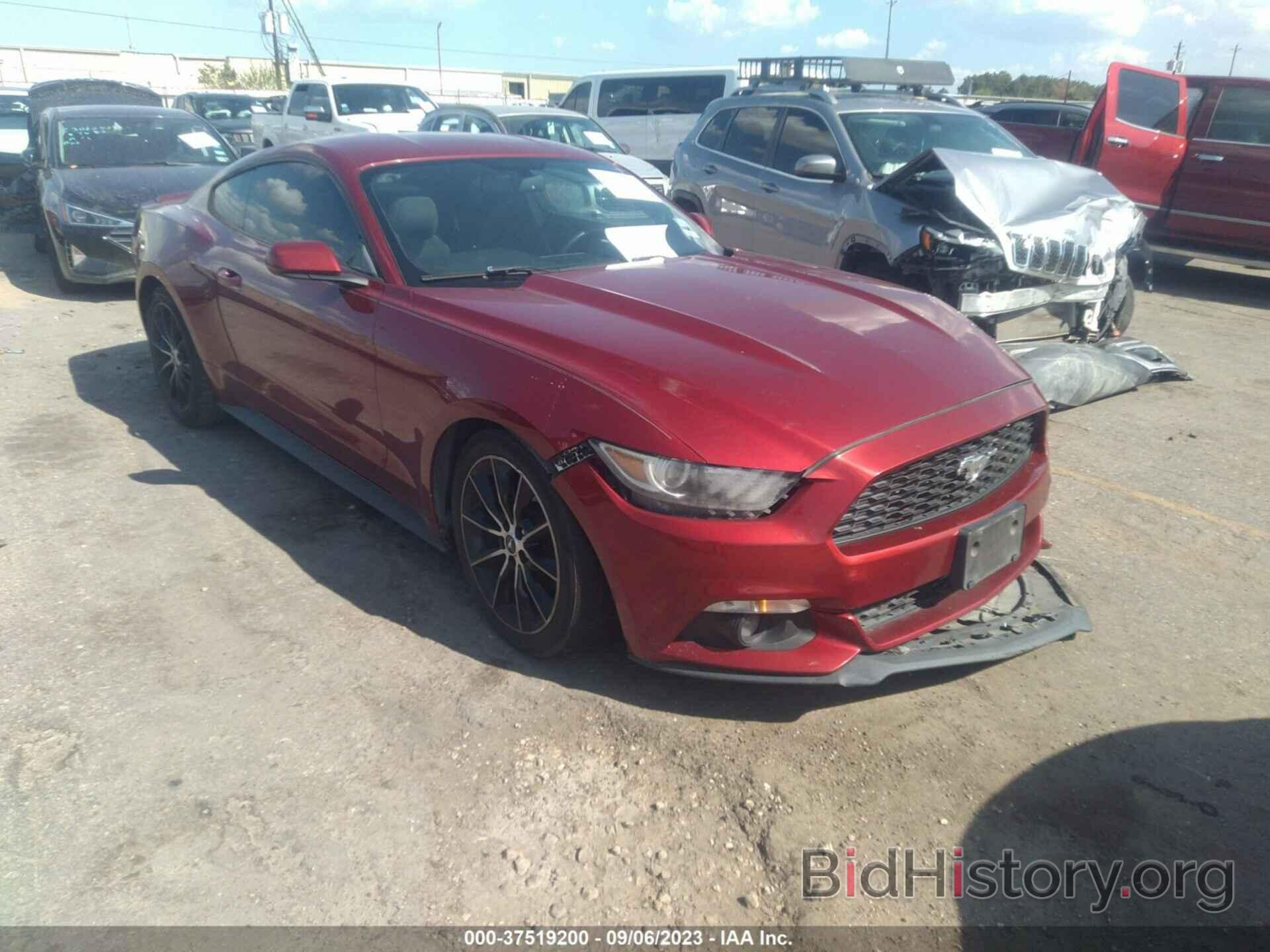 Photo 1FA6P8TH4F5338301 - FORD MUSTANG 2015