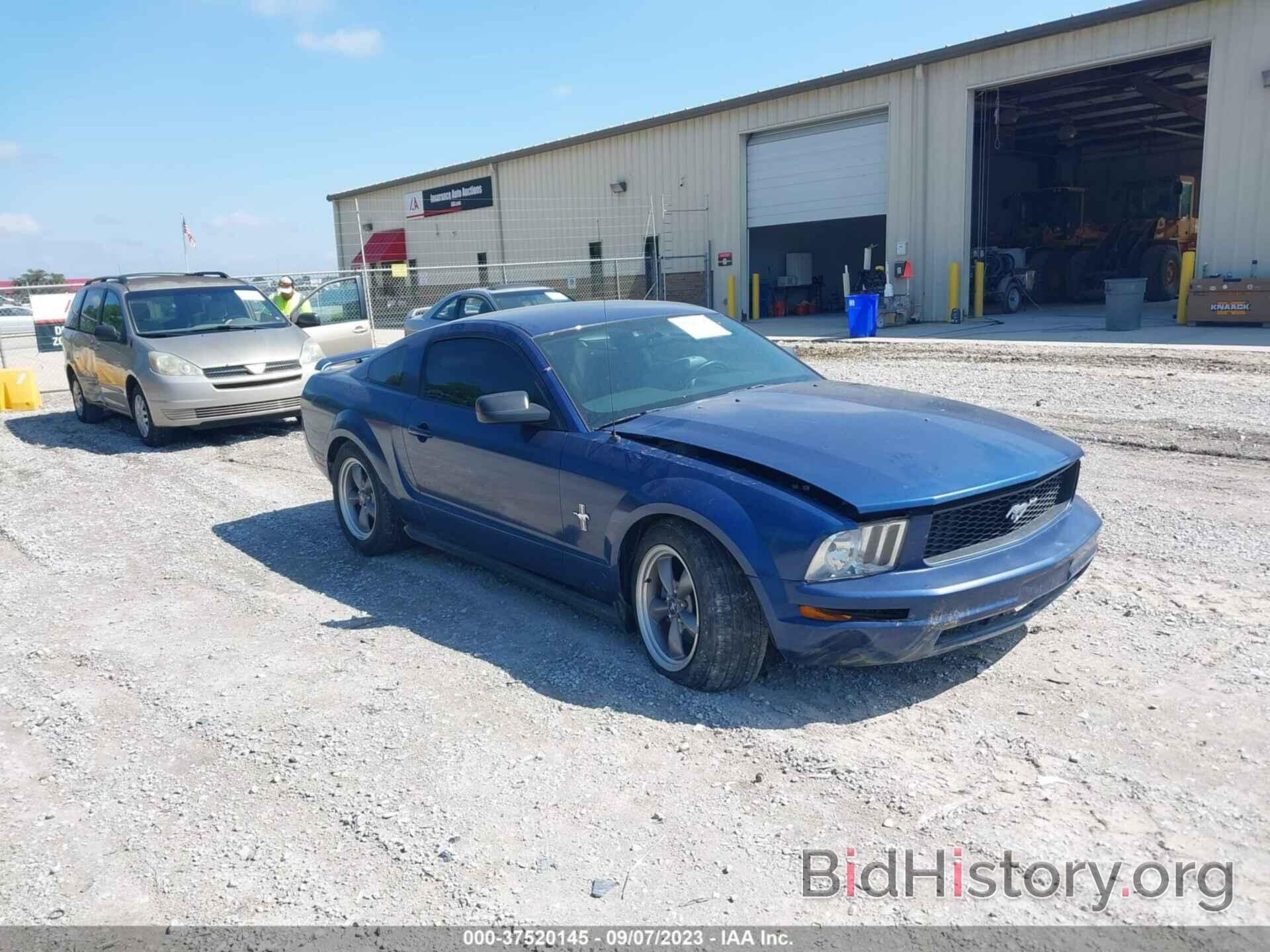 Photo 1ZVHT80N565161313 - FORD MUSTANG 2006