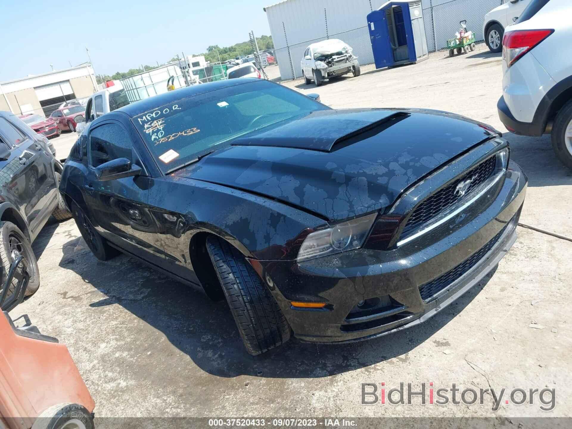 Photo 1ZVBP8AM9E5254429 - FORD MUSTANG 2014