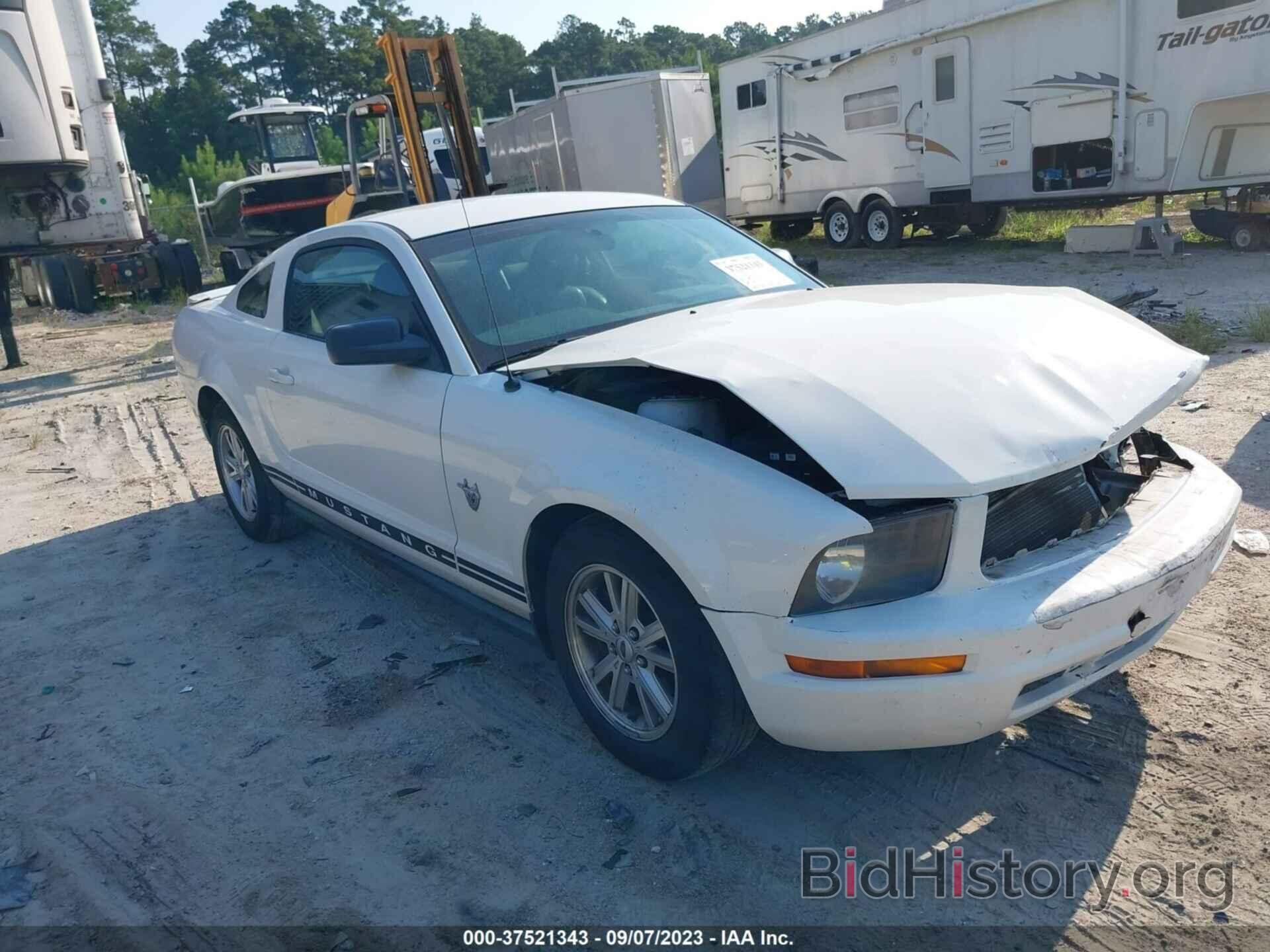 Photo 1ZVHT80N395105018 - FORD MUSTANG 2009