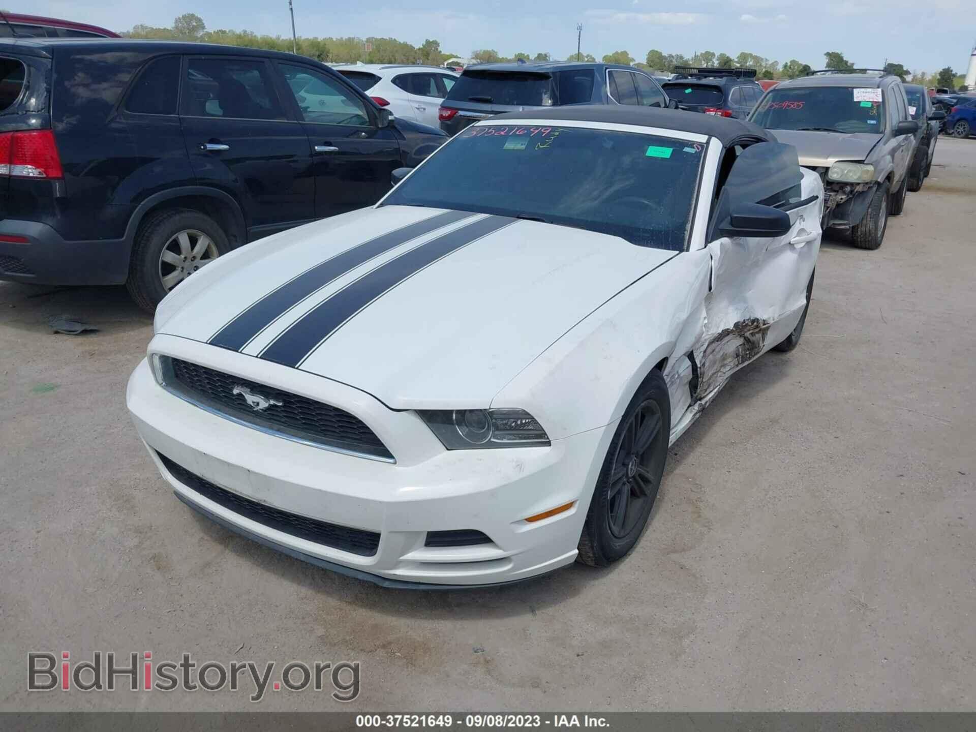 2013 FORD MUSTANG - VIN: 1ZVBP8EM5D5276002 - Фото 2