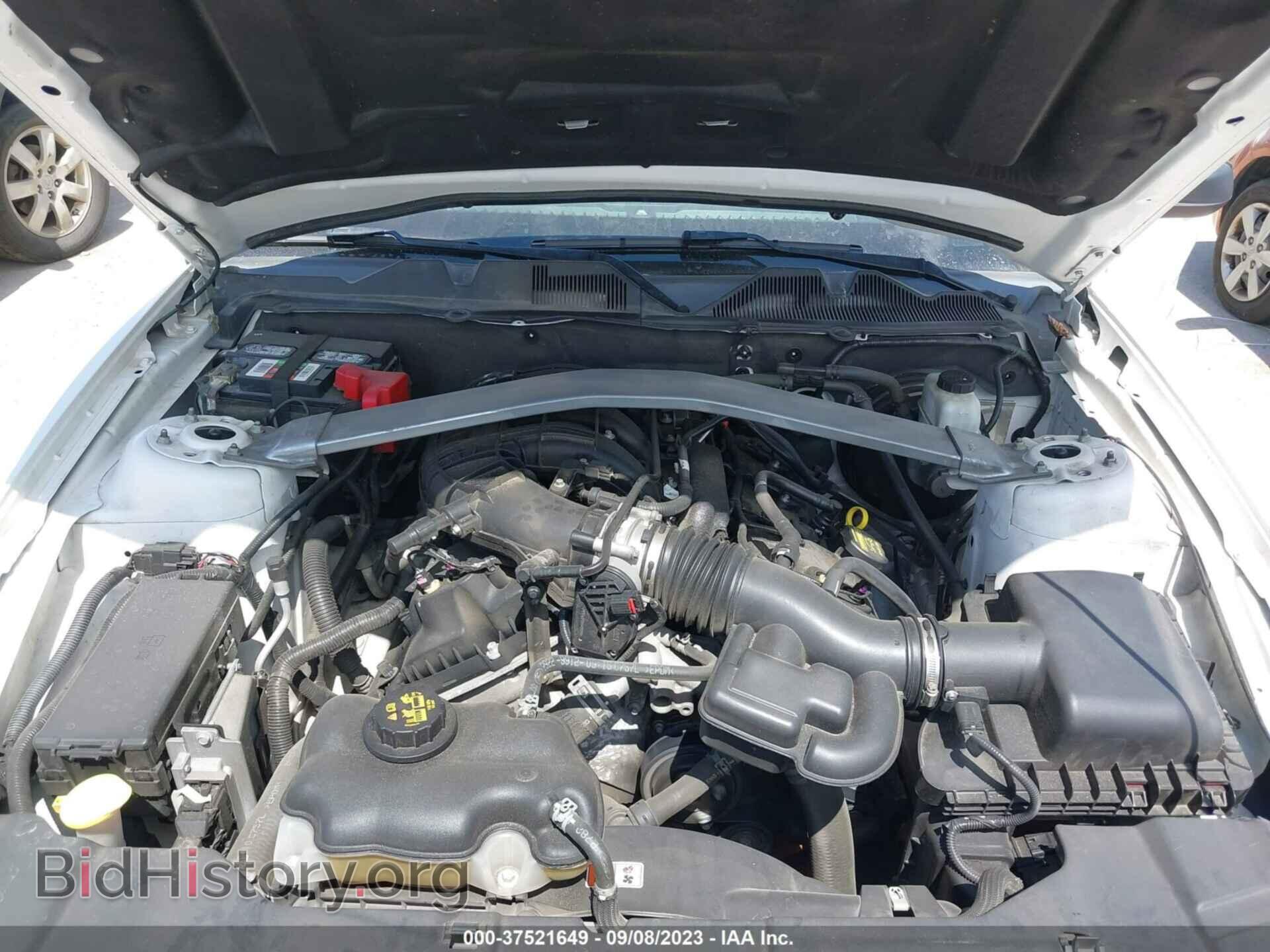 2013 FORD MUSTANG - VIN: 1ZVBP8EM5D5276002 - Фото 10