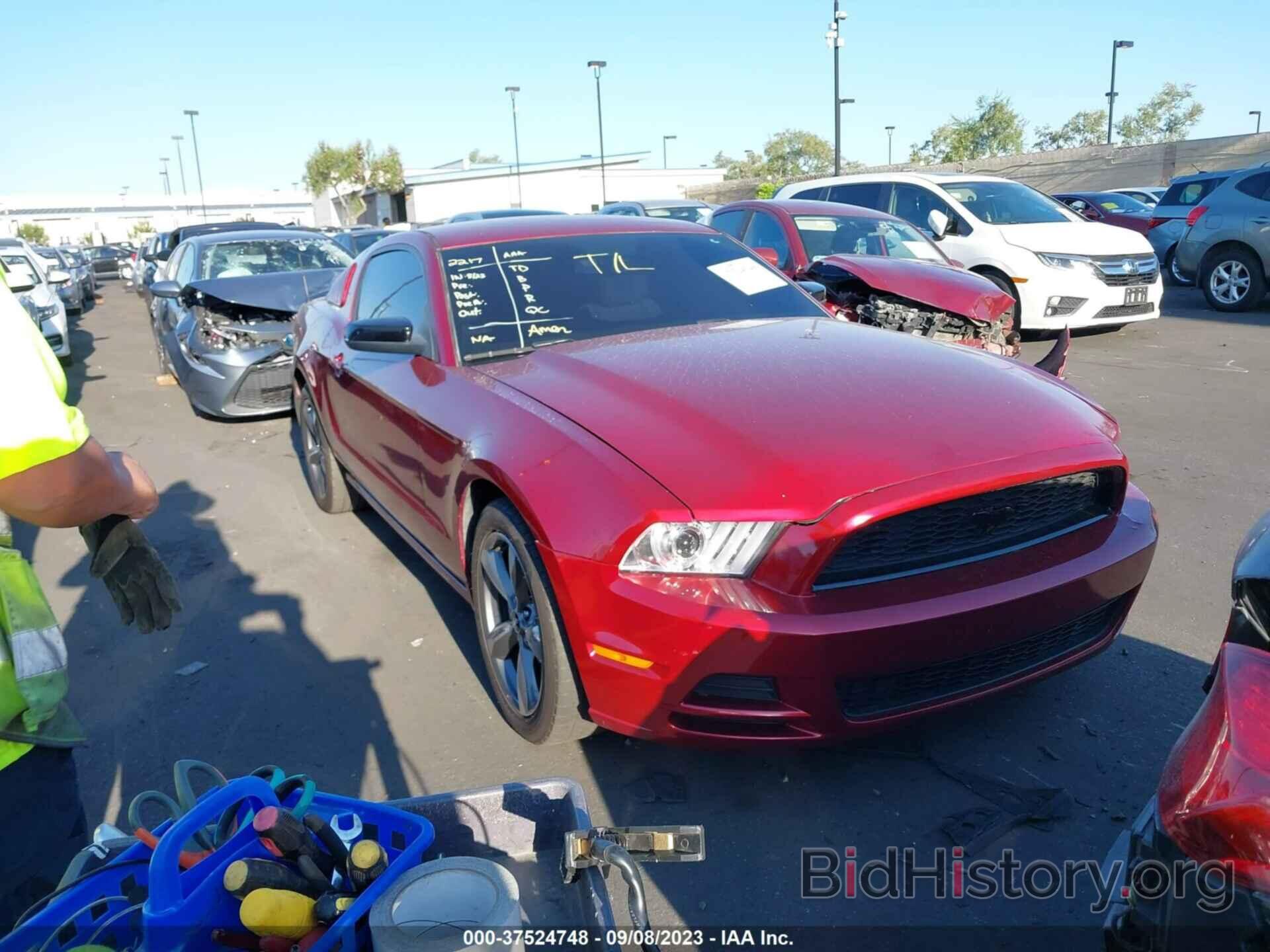 Photo 1ZVBP8AM7E5321738 - FORD MUSTANG 2014
