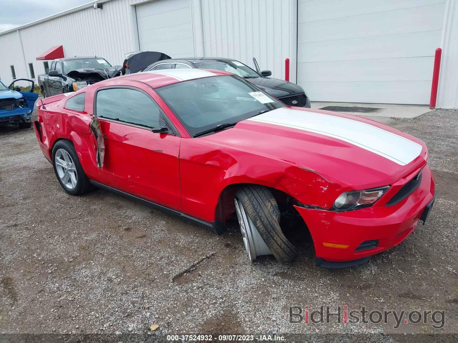 Photo 1ZVBP8AN8A5154857 - FORD MUSTANG 2010