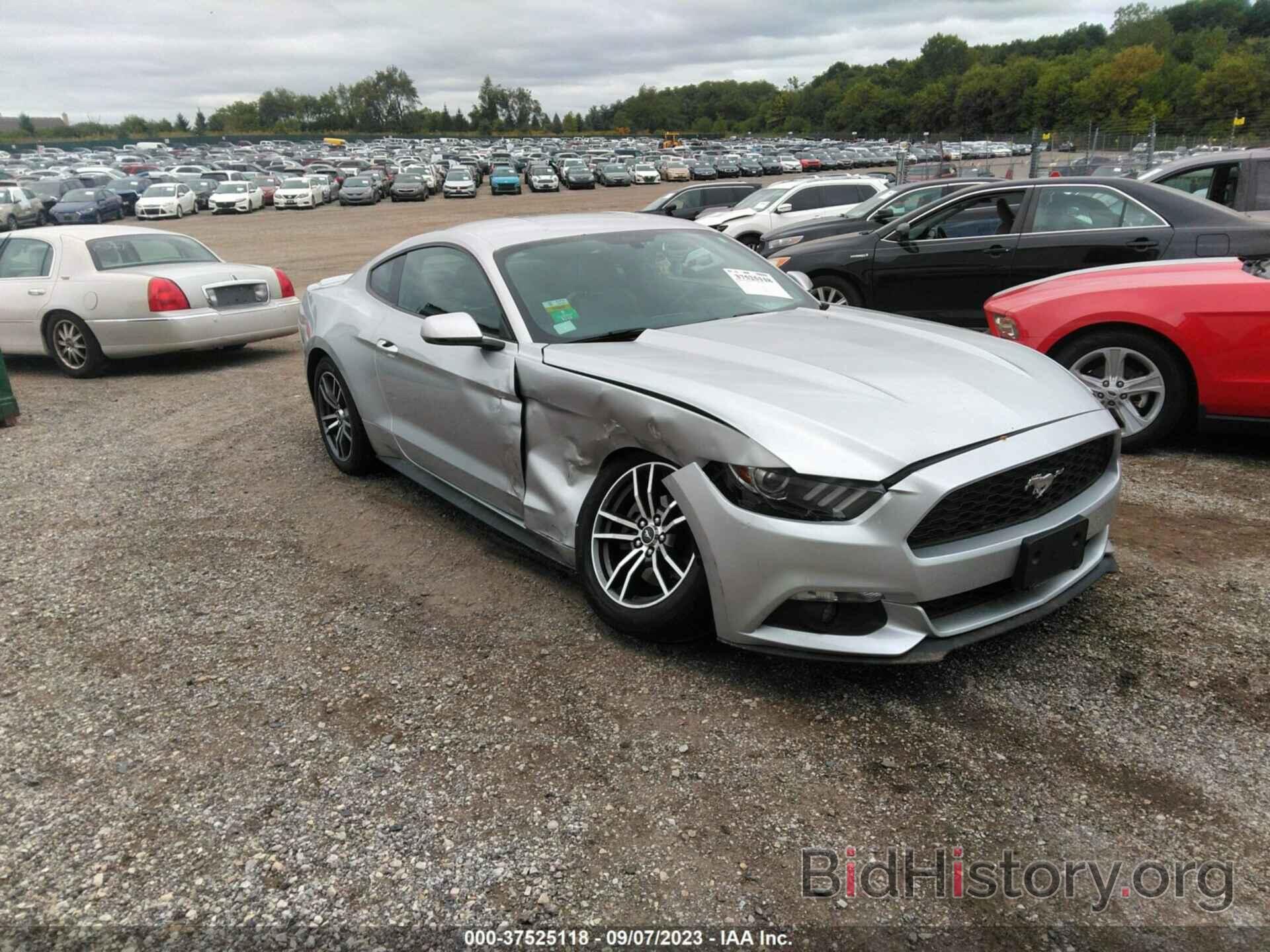 Photo 1FA6P8TH7H5310169 - FORD MUSTANG 2017