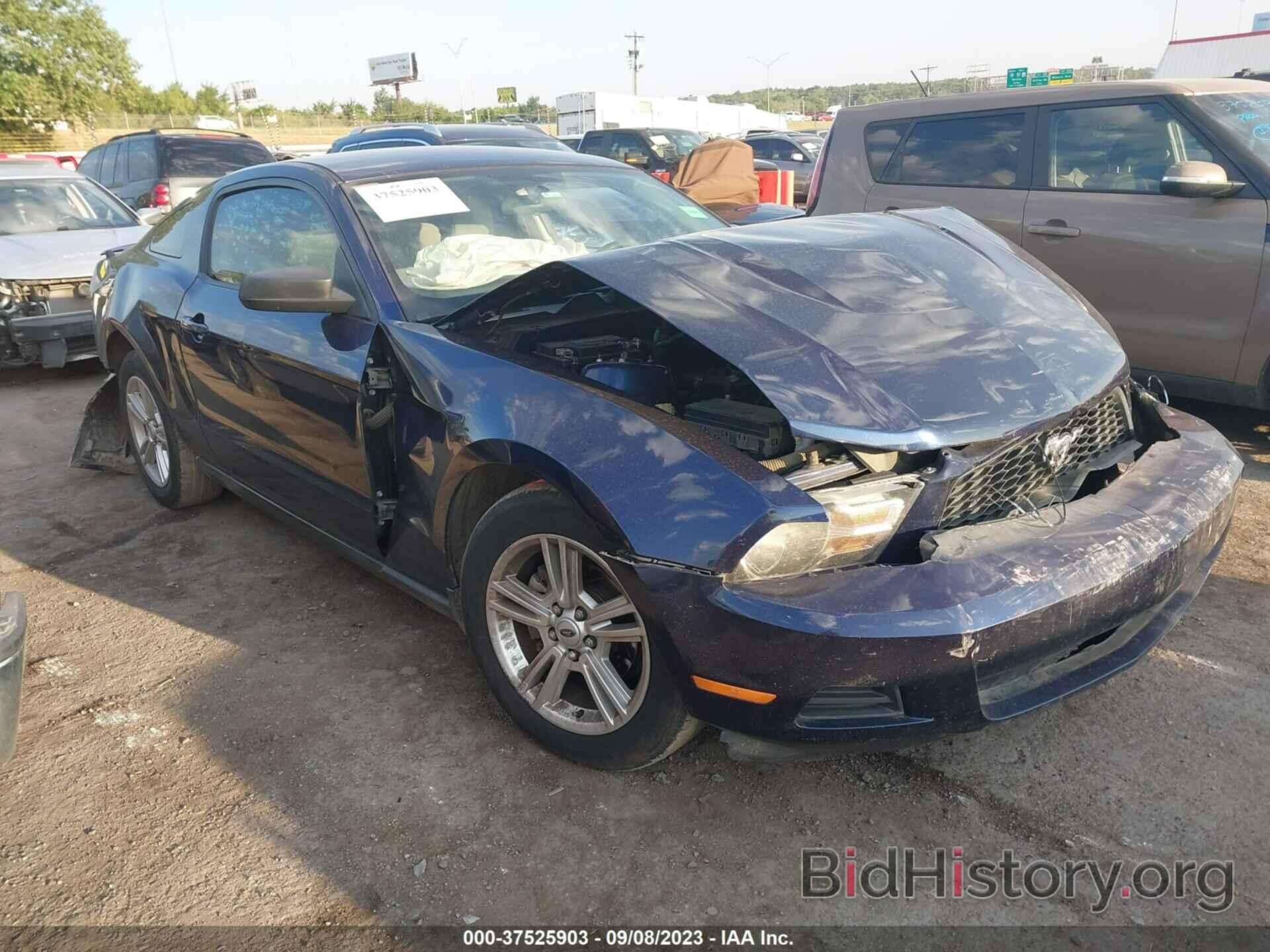 Photo 1ZVBP8AN1A5154084 - FORD MUSTANG 2010