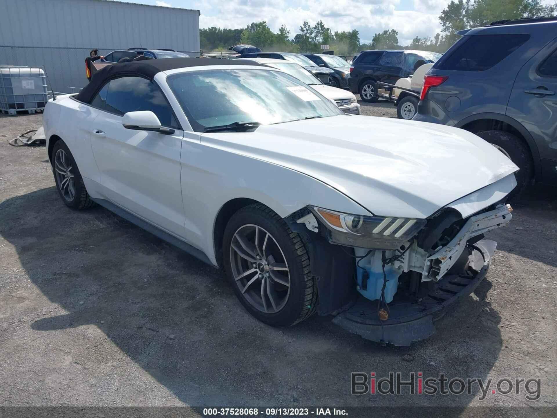 Photo 1FATP8UH3H5245080 - FORD MUSTANG 2017