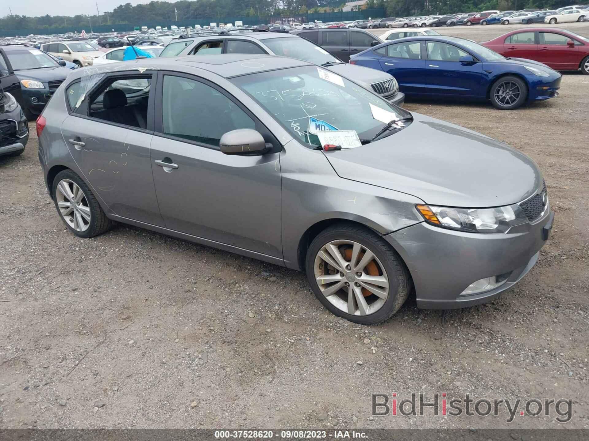 Photo KNAFW5A34D5674009 - KIA FORTE 5-DOOR 2013