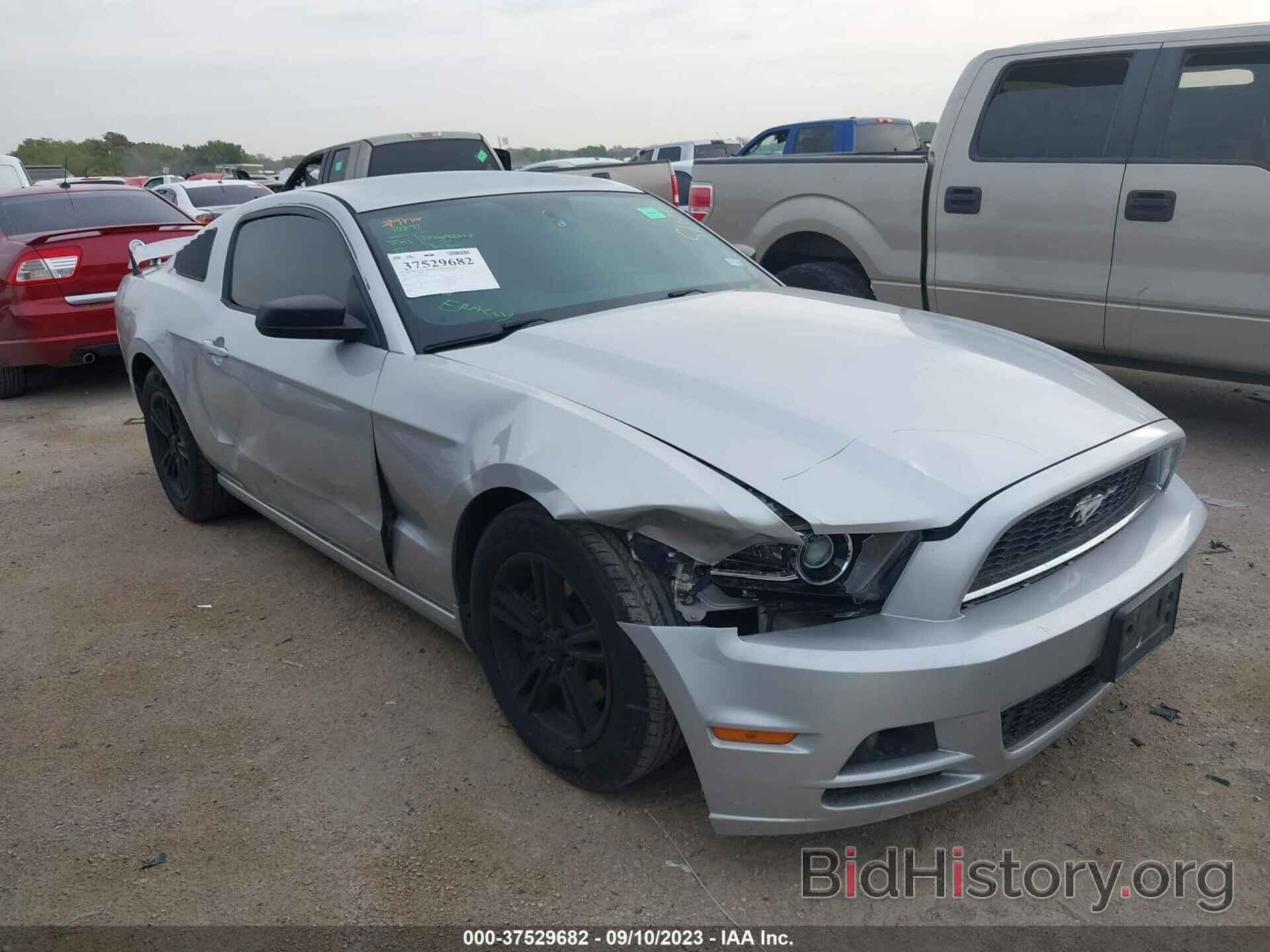 Photo 1ZVBP8AM1E5208710 - FORD MUSTANG 2014