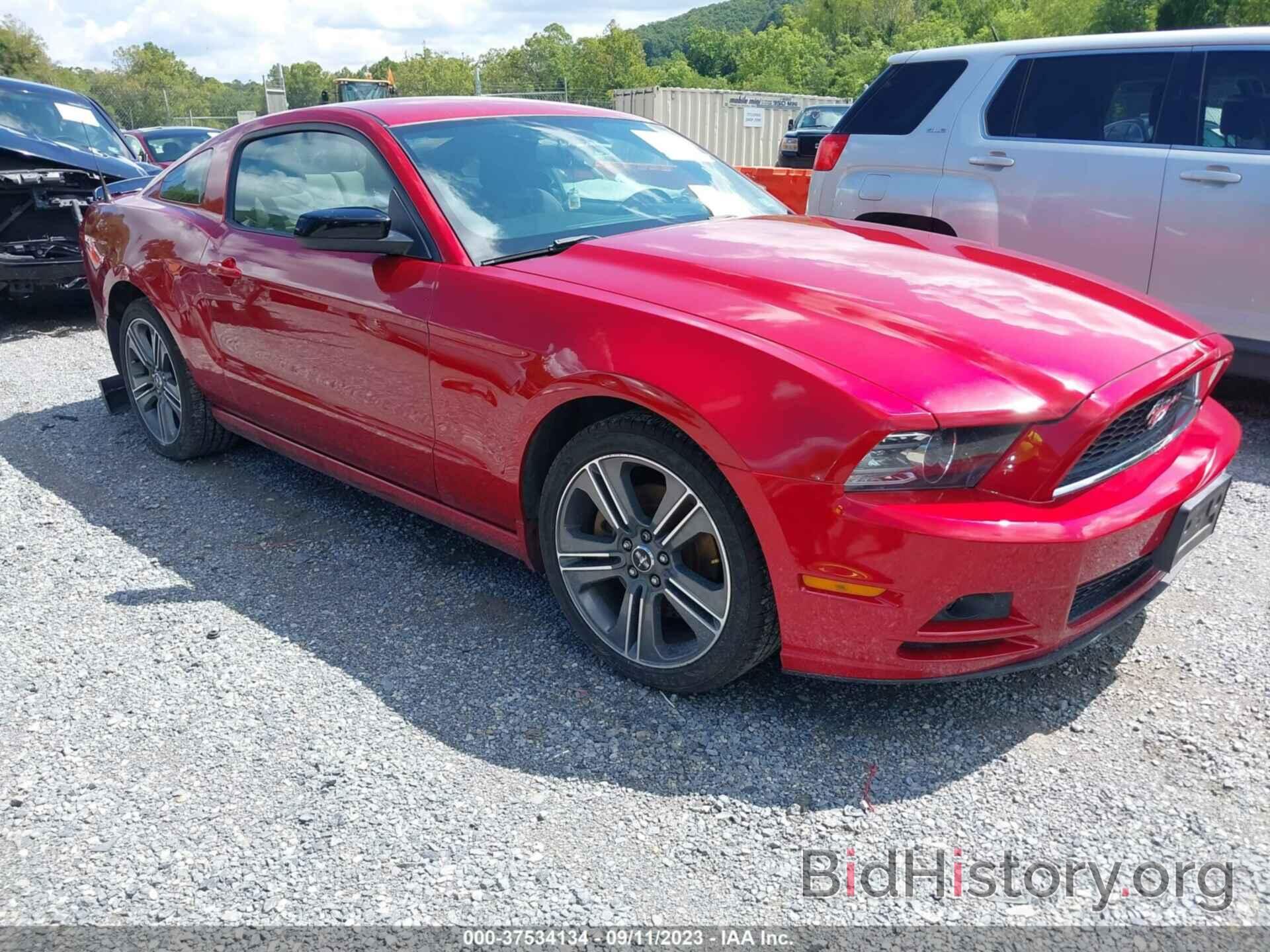 Photo 1ZVBP8AM1D5277234 - FORD MUSTANG 2013