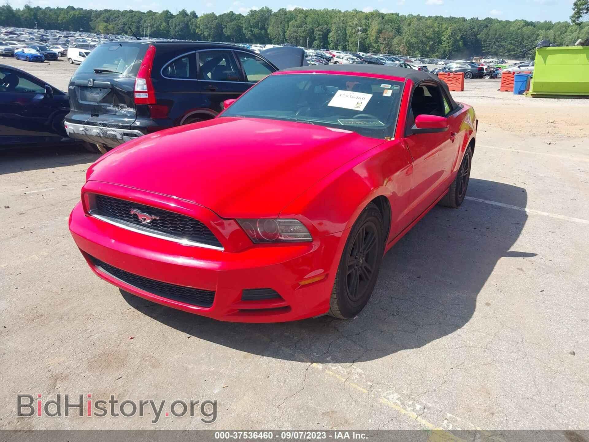 2013 FORD MUSTANG - VIN: 1ZVBP8EM8D5229384 - Photo 2