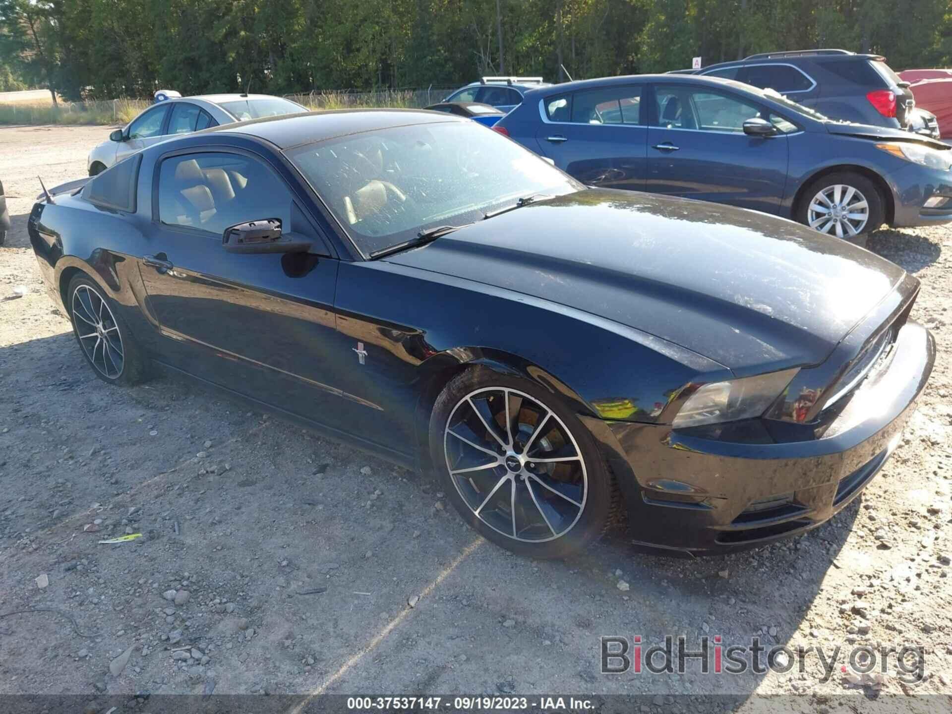 Photo 1ZVBP8AM2D5281194 - FORD MUSTANG 2013