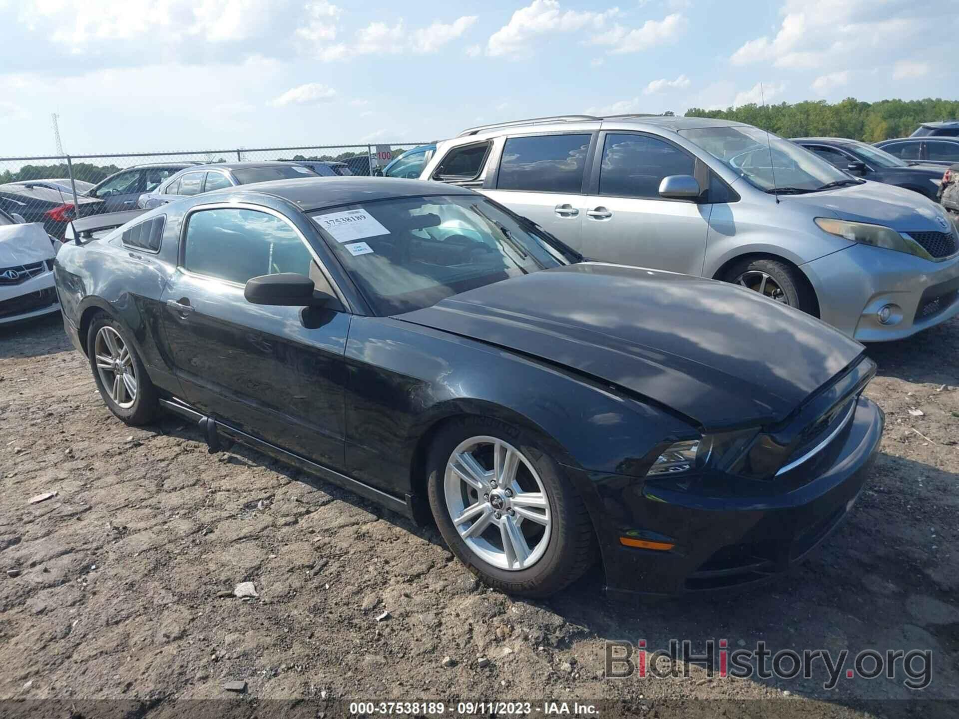 Photo 1ZVBP8AM6D5251325 - FORD MUSTANG 2013