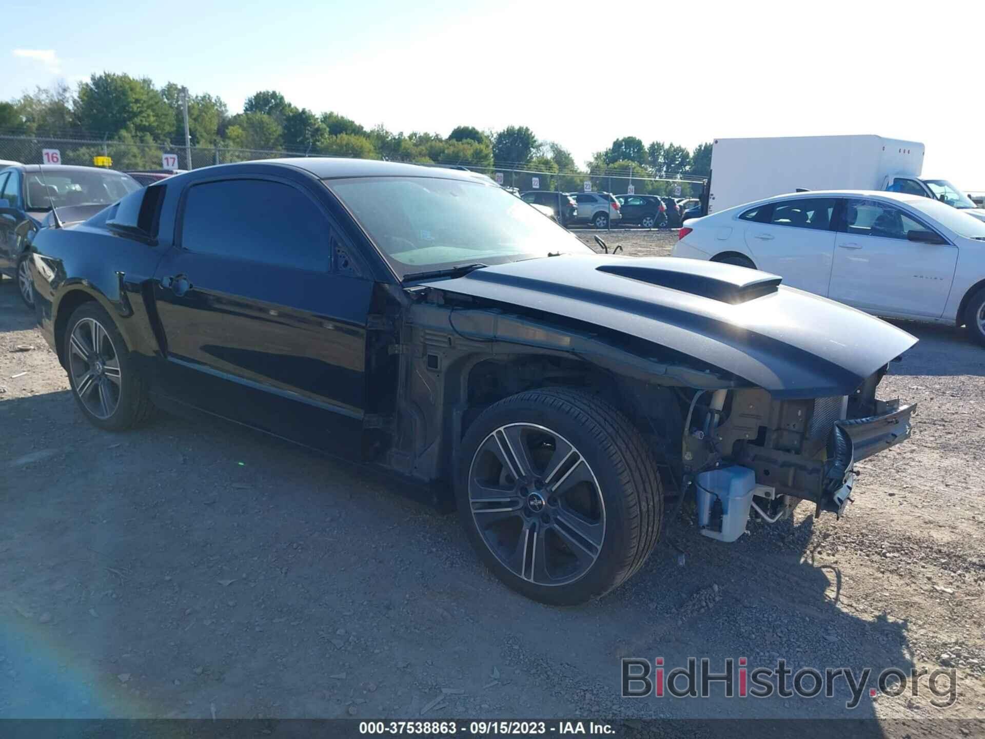 Photo 1ZVBP8AM3E5290021 - FORD MUSTANG 2014
