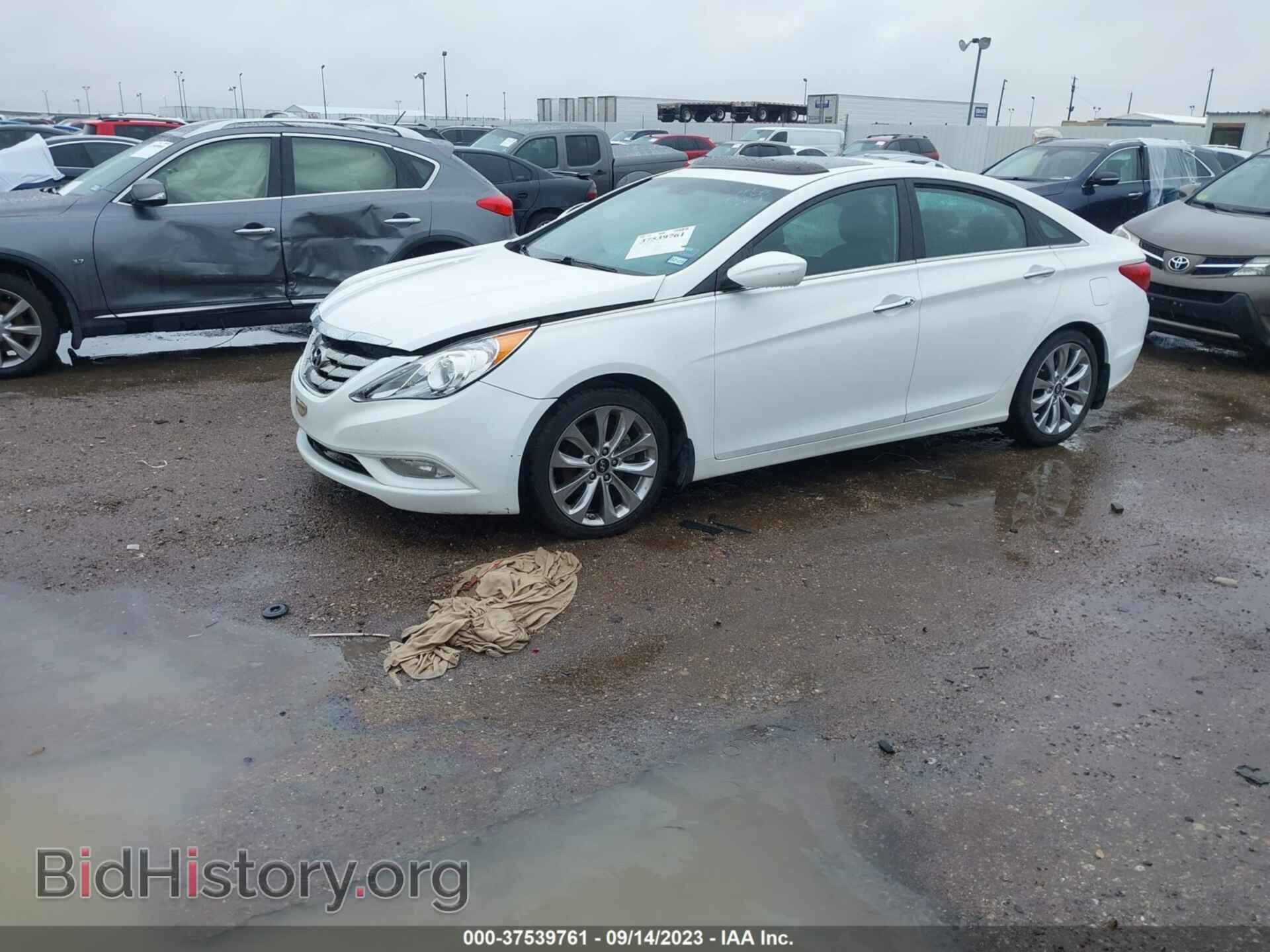 2013 HYUNDAI SONATA - VIN: 5NPEC4AC7DH593328 - Фото 2