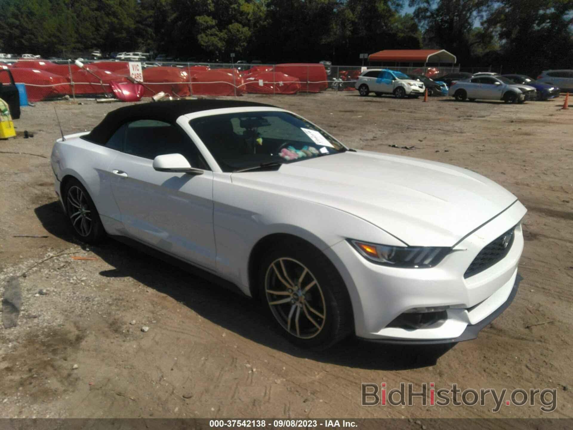 Photo 1FATP8UHXH5267335 - FORD MUSTANG 2017