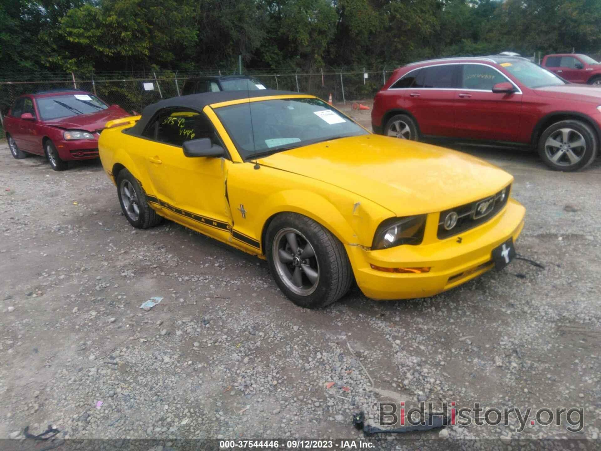 Photo 1ZVHT84N765186031 - FORD MUSTANG 2006