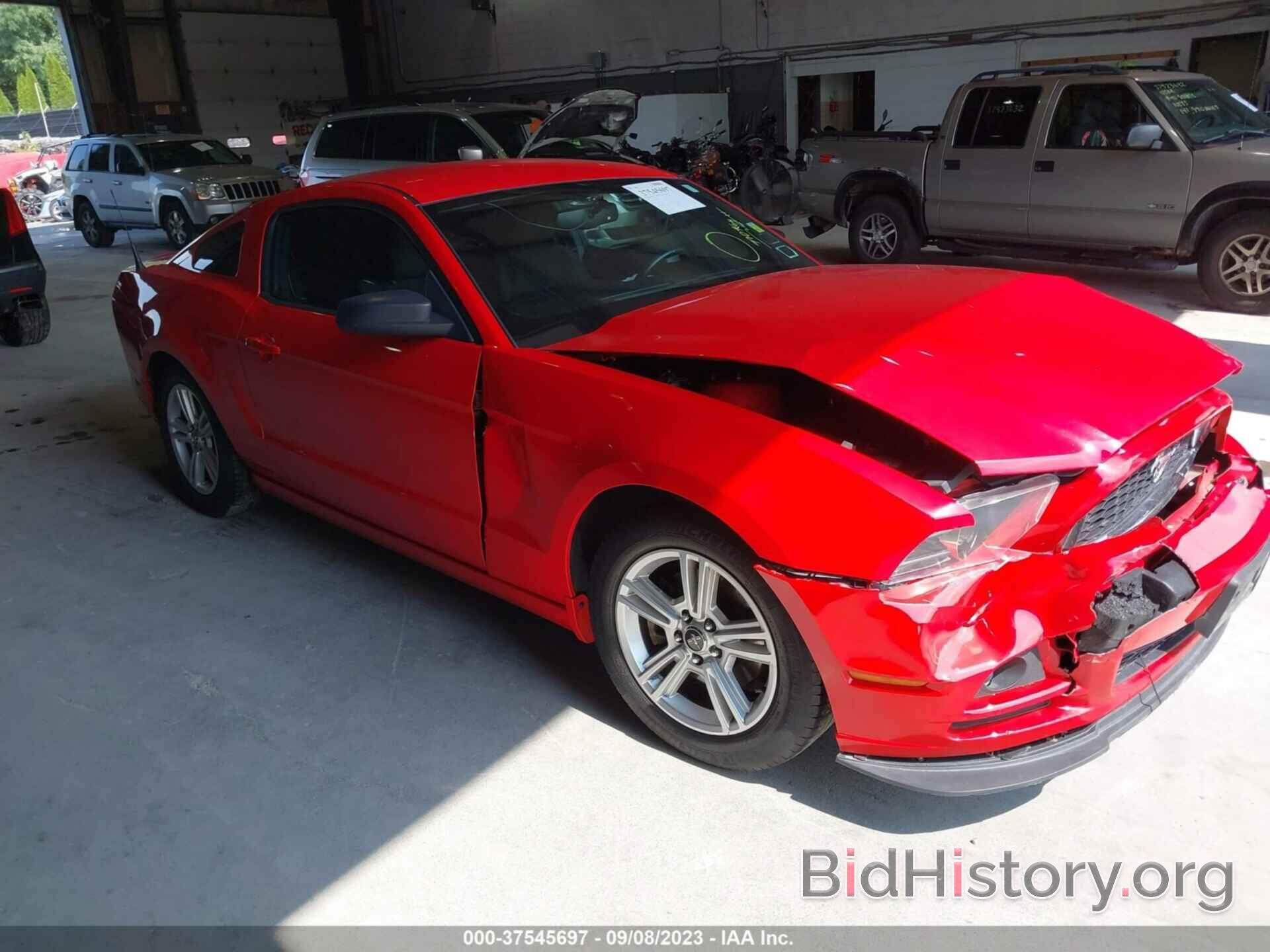 Photo 1ZVBP8AM4E5329764 - FORD MUSTANG 2014
