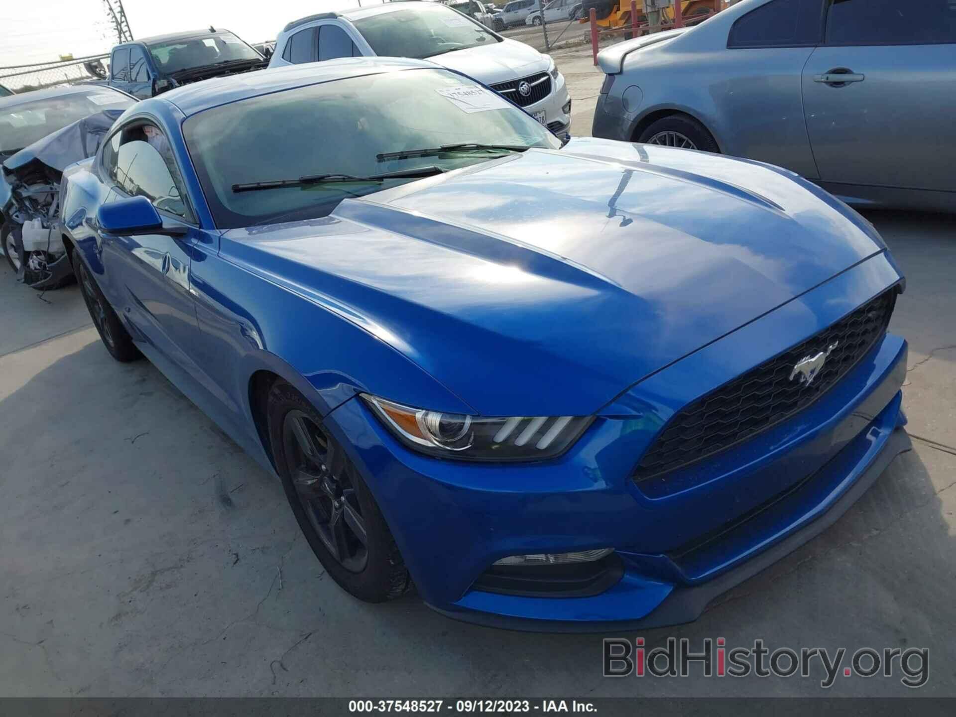 Photo 1FA6P8AM3H5333366 - FORD MUSTANG 2017