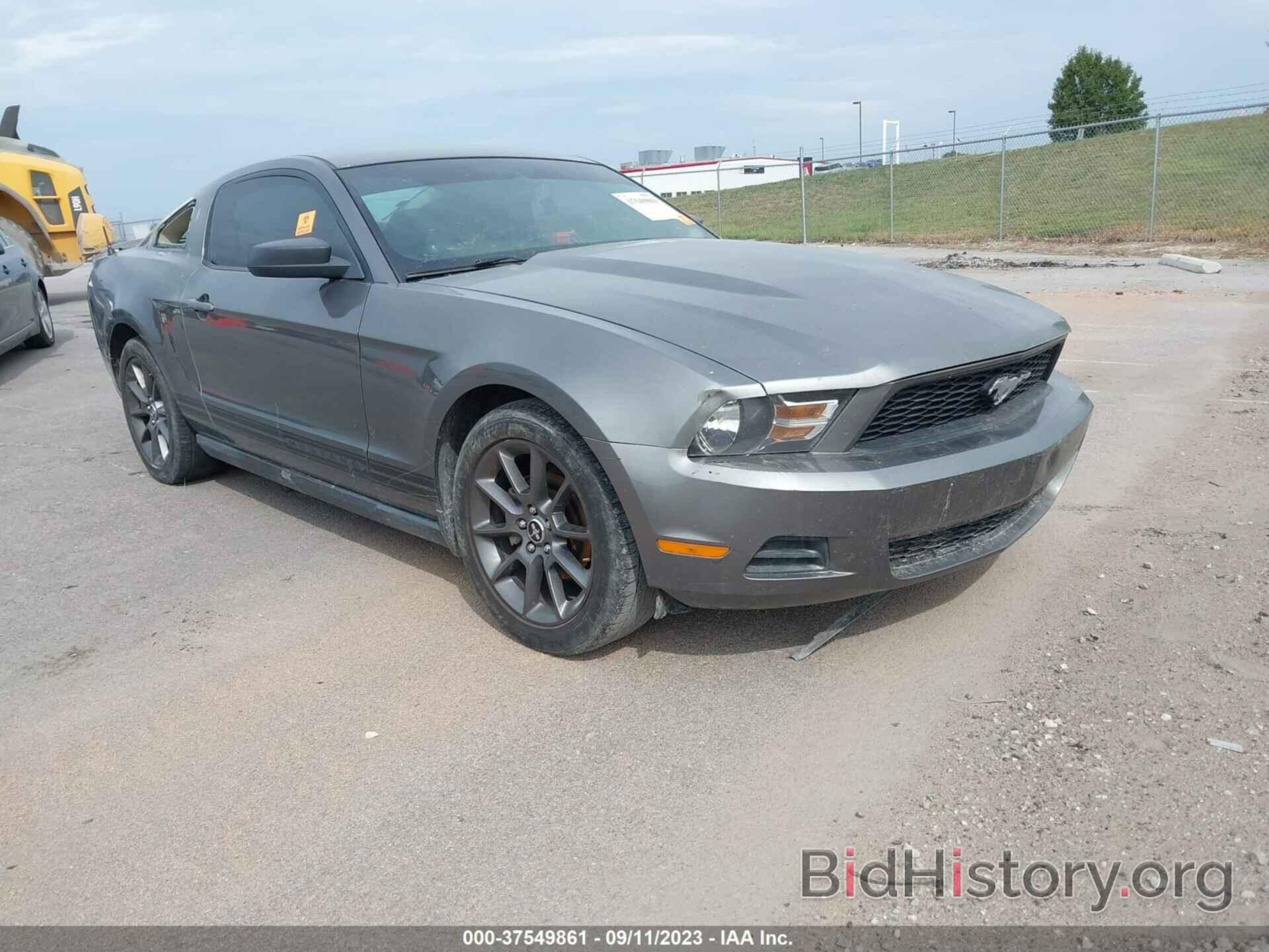 Photo 1ZVBP8AN4A5137652 - FORD MUSTANG 2010